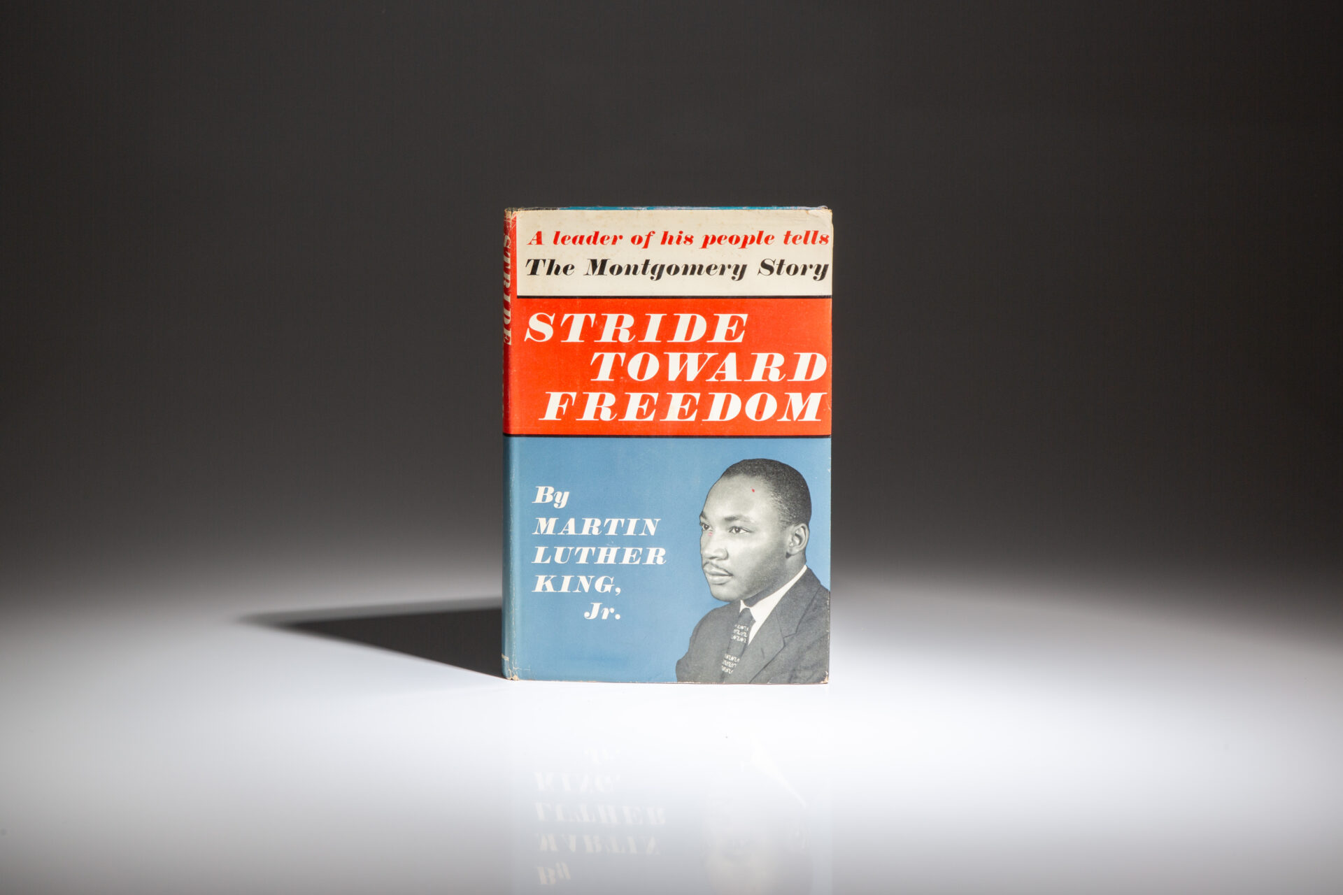 Stride Toward Freedom - Image 7