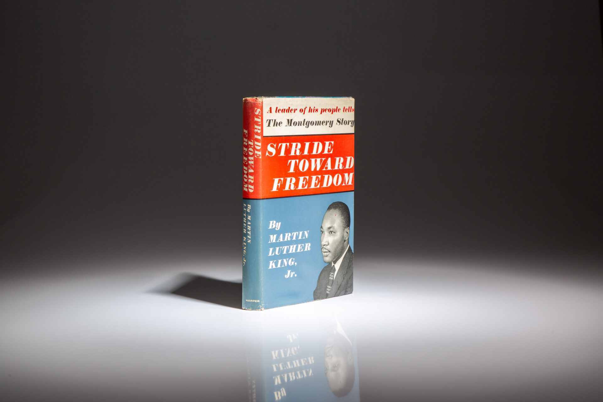 Stride Toward Freedom - Image 8