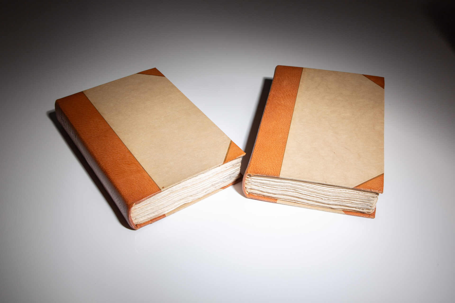 African Game Trails - Image 2