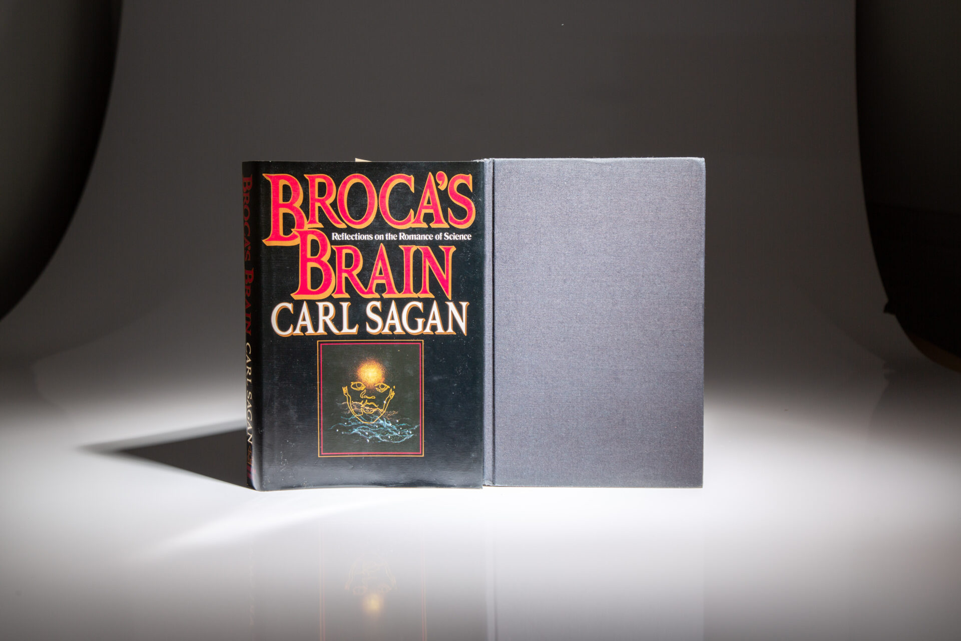 Broca's Brain - Image 3