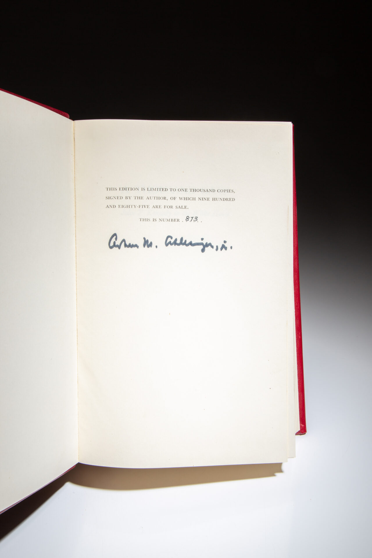 A Thousand Days - Image 2