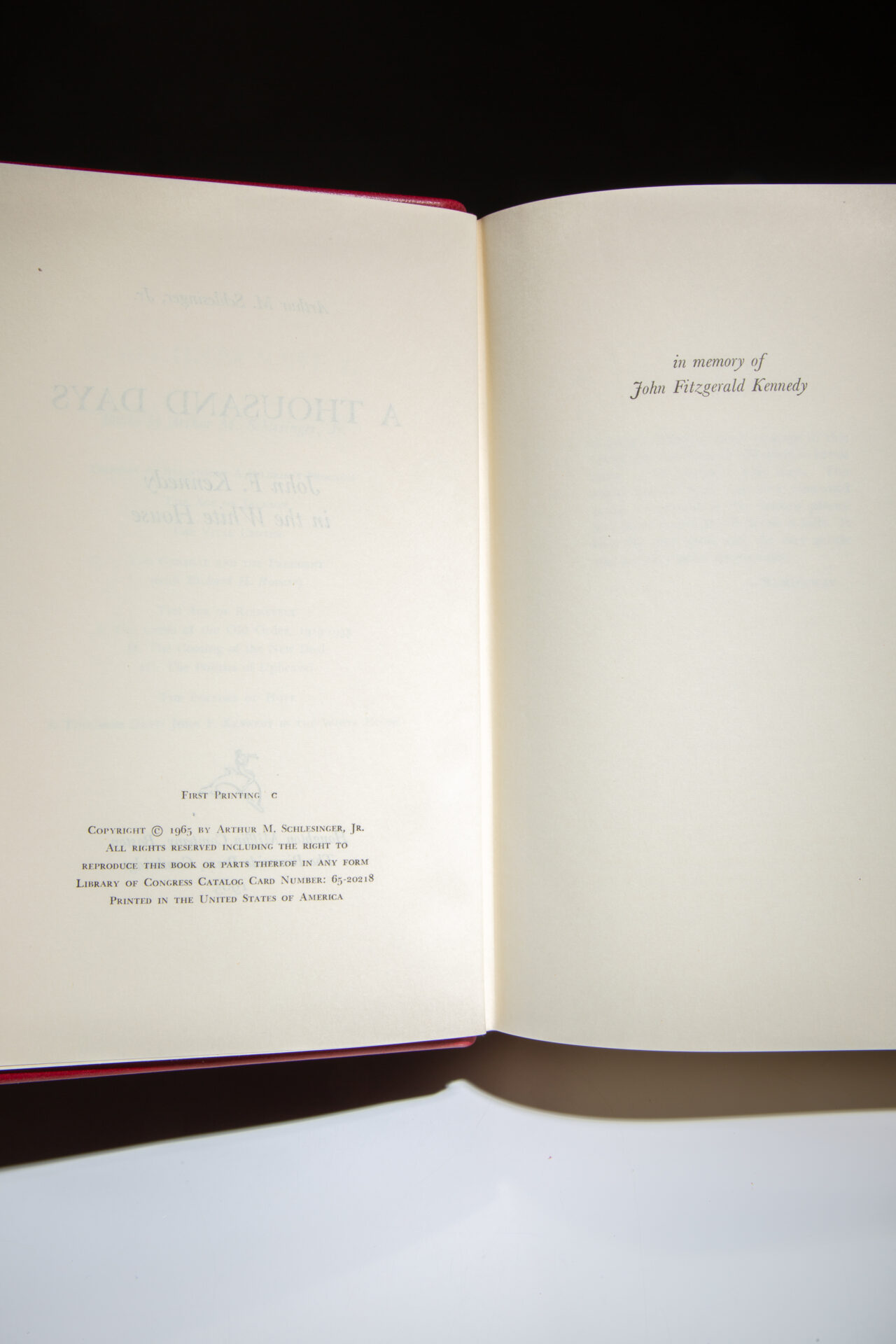 A Thousand Days - Image 4