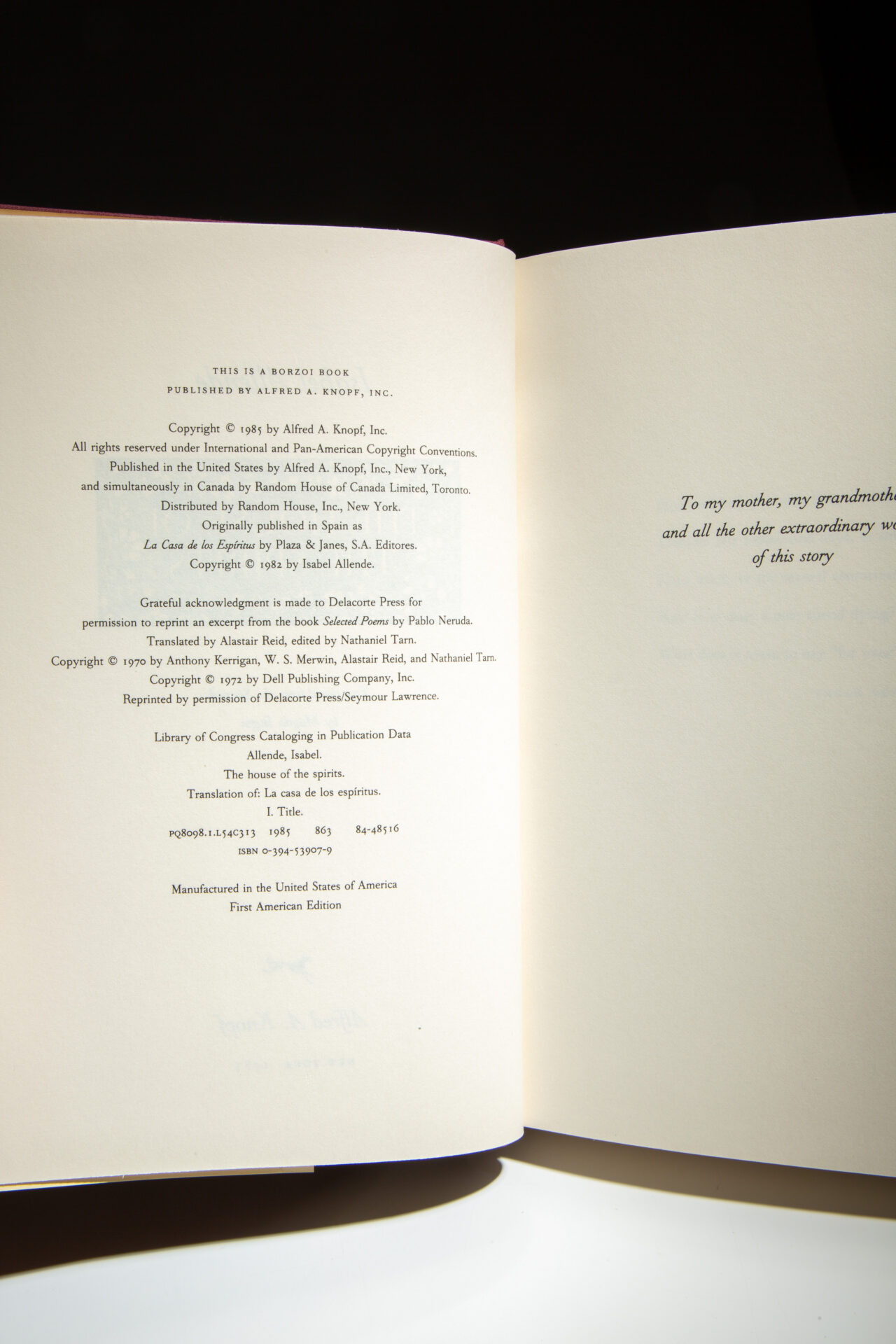 The House Of The Spirits - Image 4