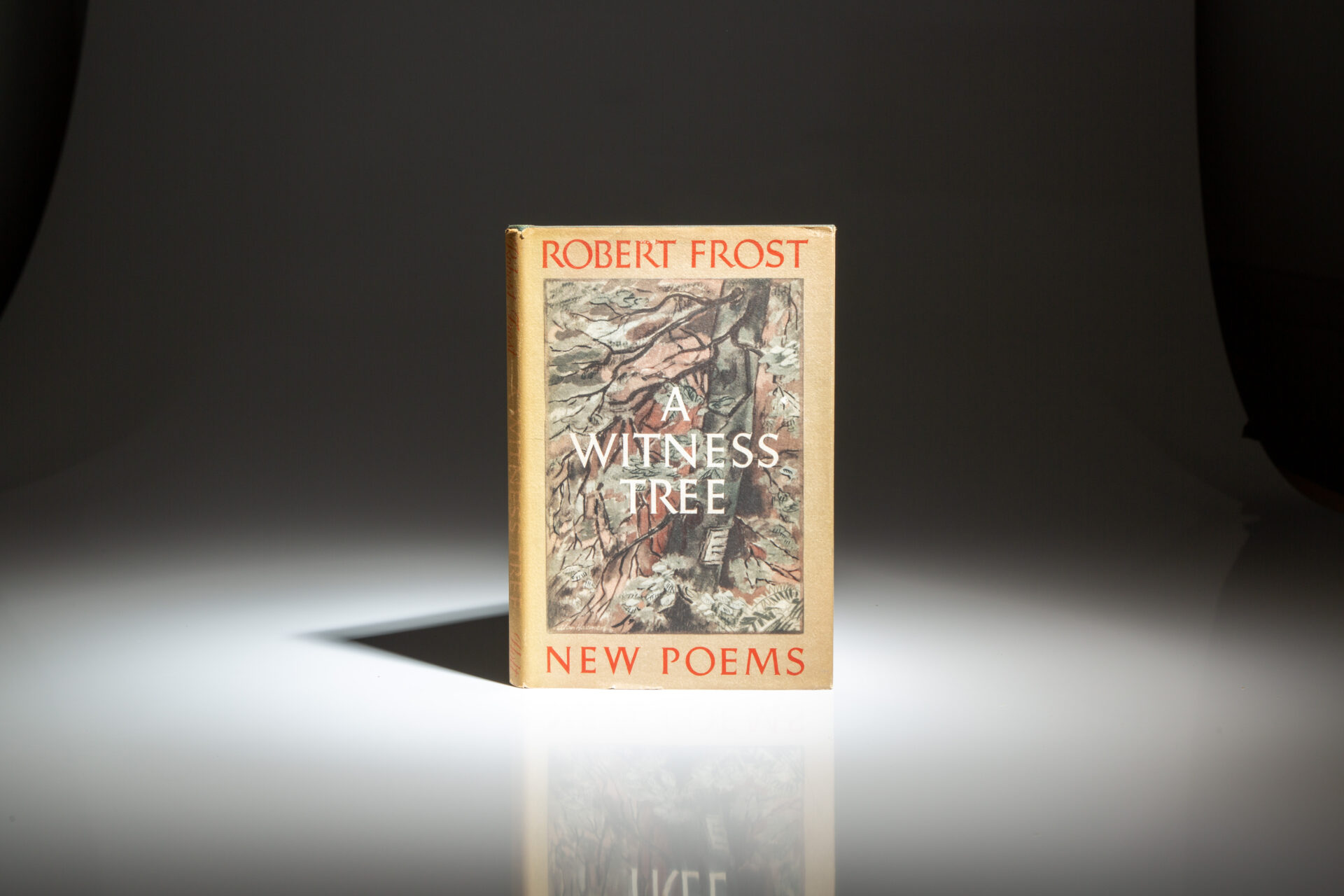 A Witness Tree - Image 5