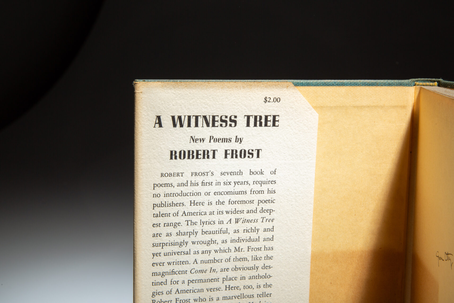 A Witness Tree - Image 2