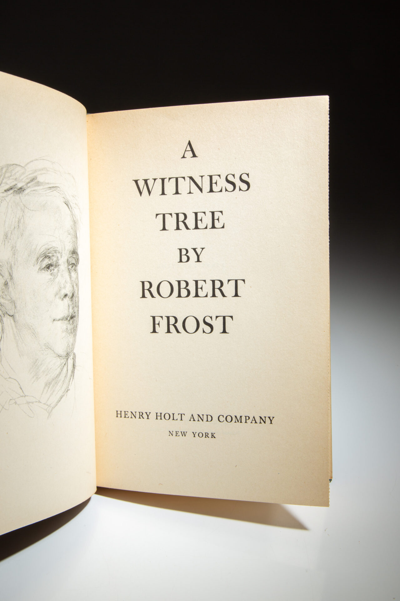 A Witness Tree - Image 3