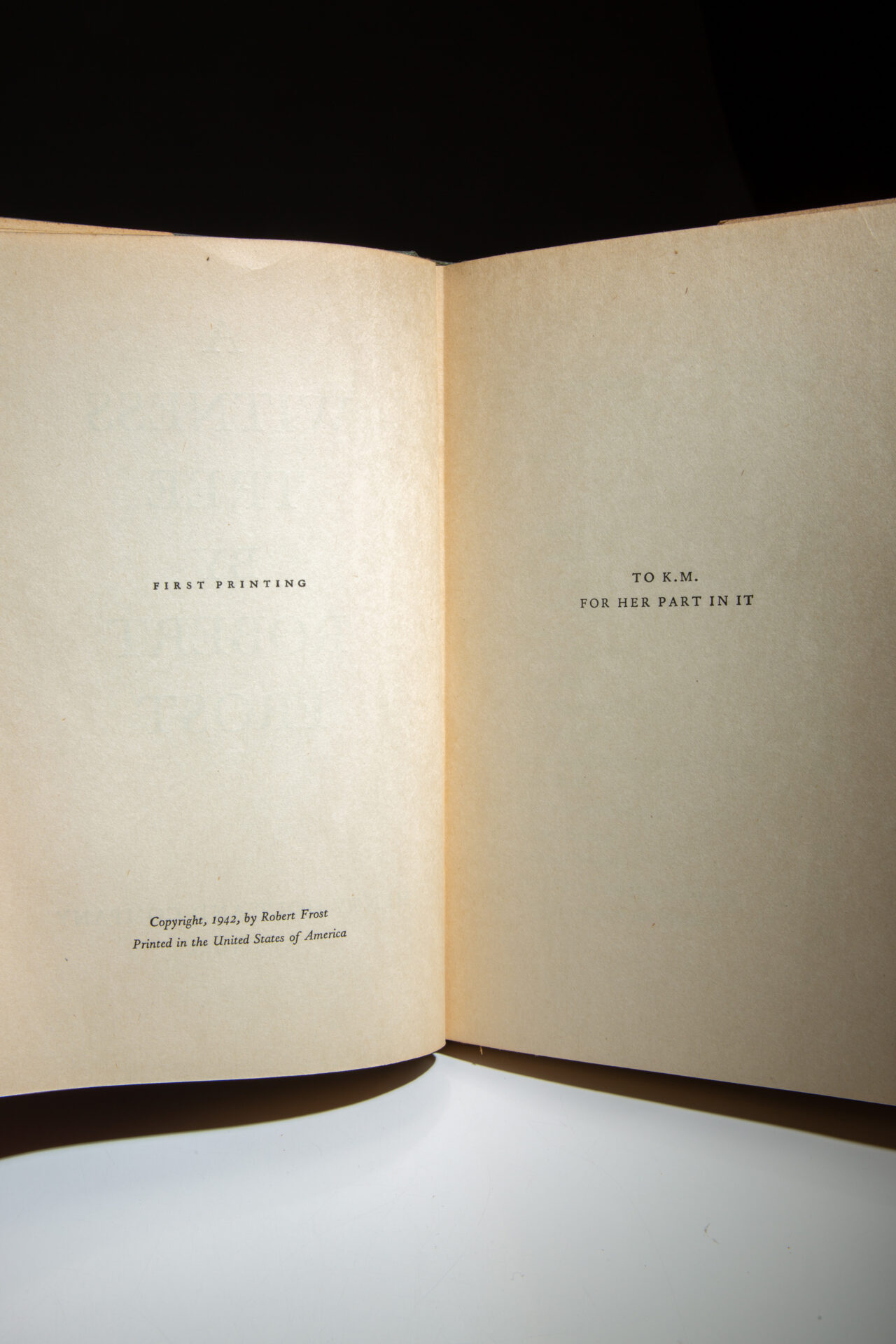 A Witness Tree - Image 4