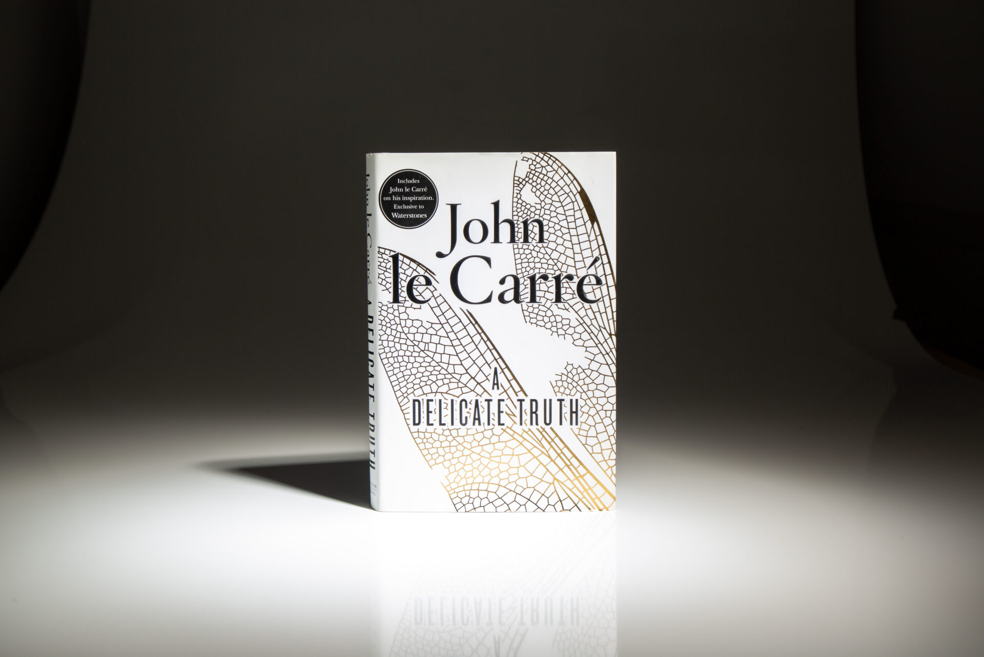 A Delicate Truth - Image 5