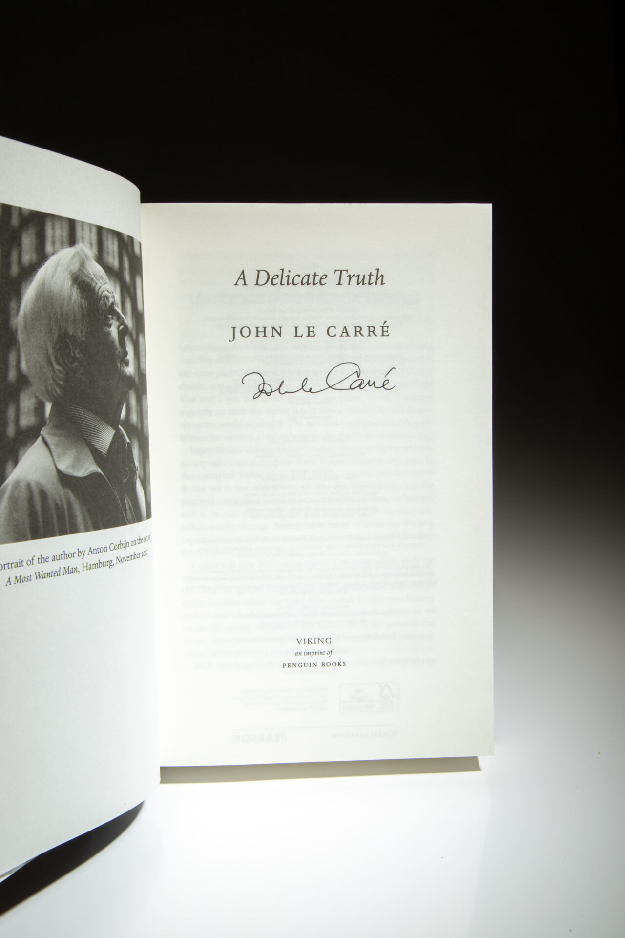 A Delicate Truth - Image 3