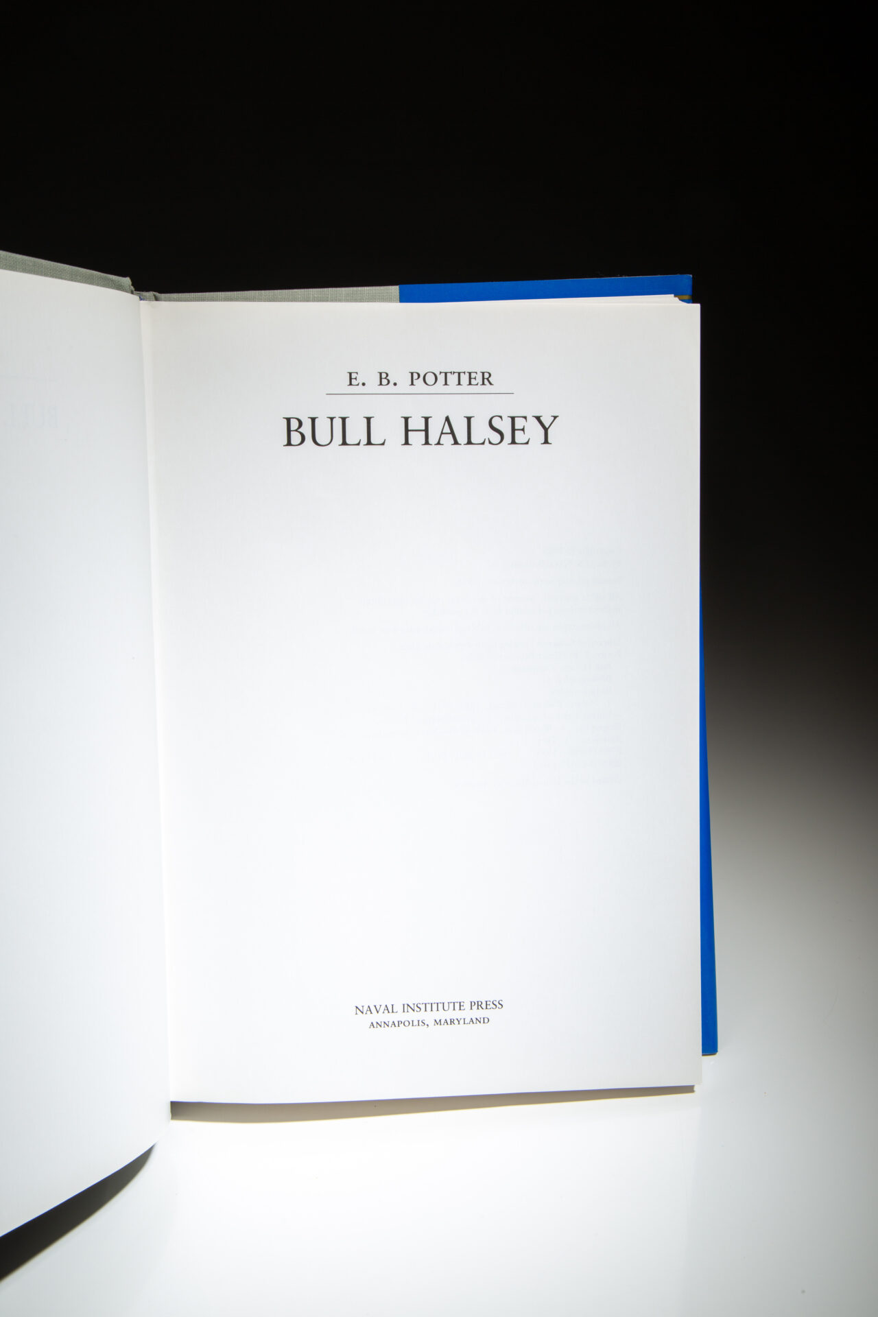 Bull Hasley - Image 3