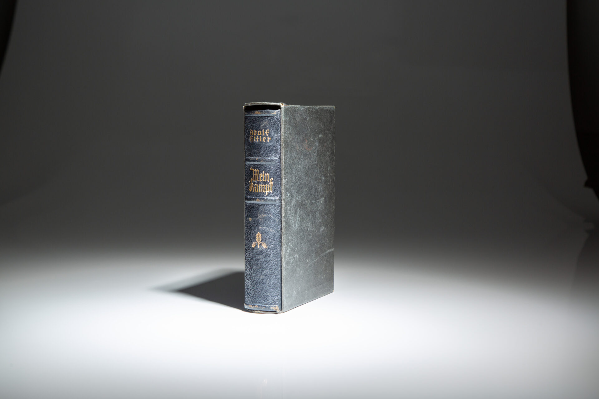 Mein Kampf - Image 6