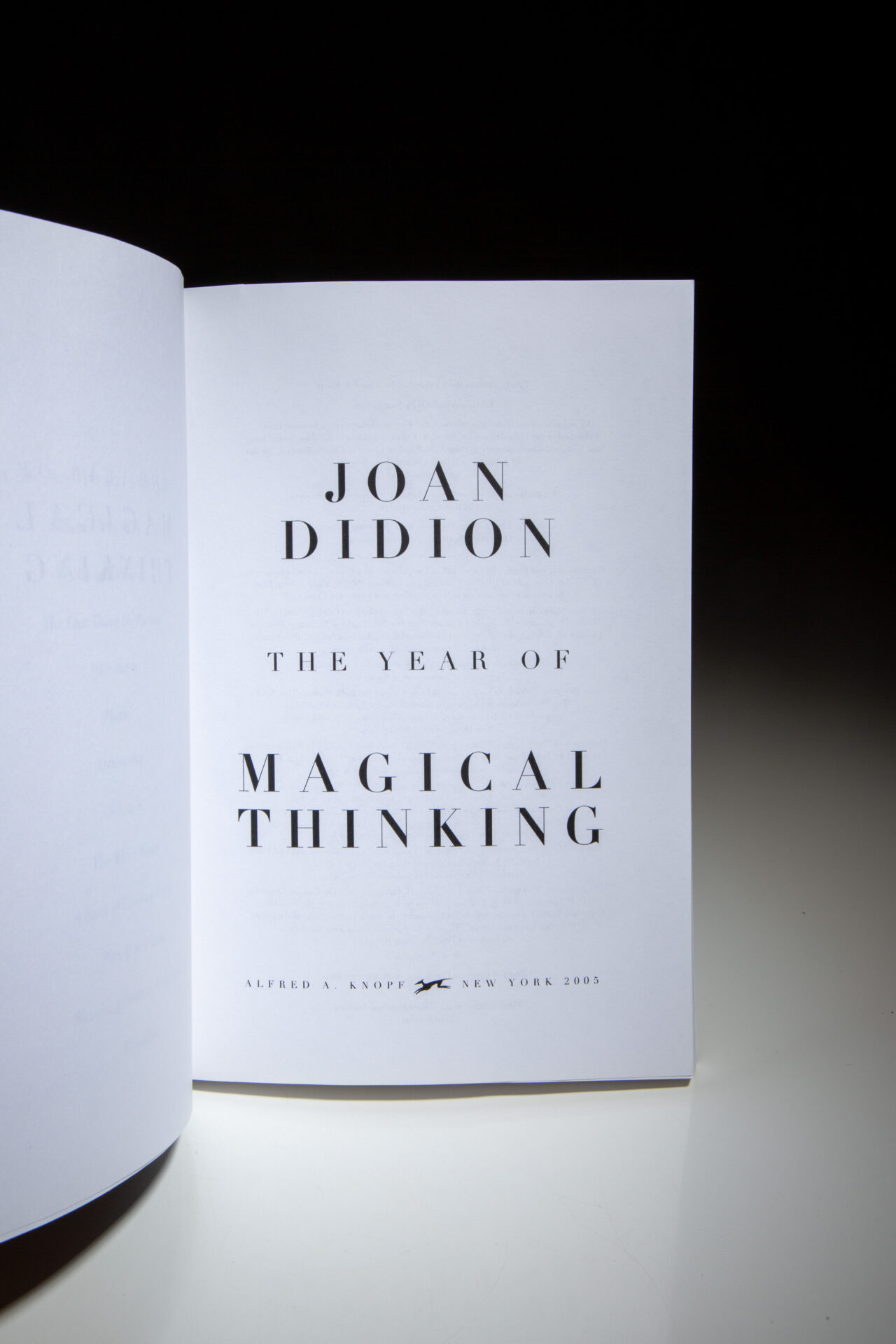 The Year of Magical Thinking - Image 2