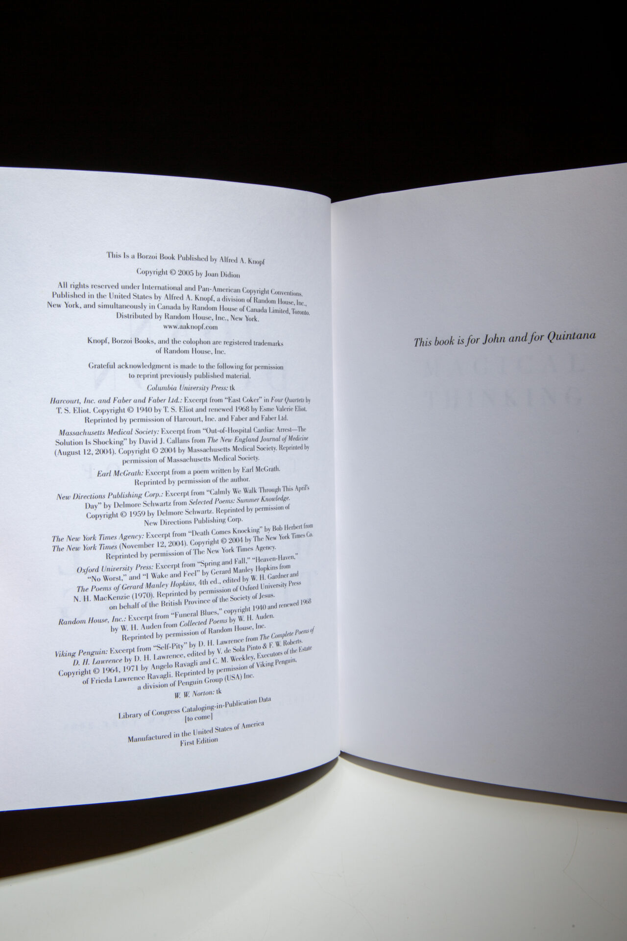 The Year of Magical Thinking - Image 3