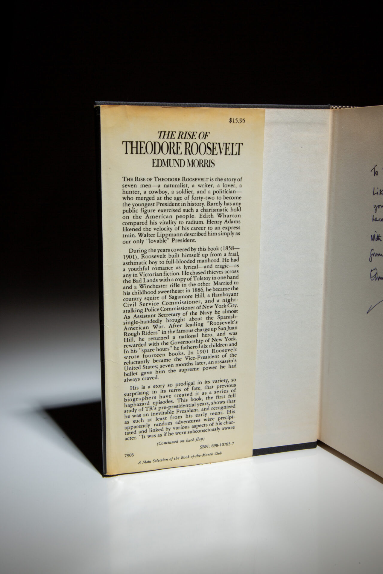 The Rise Of Theodore Roosevelt - Image 3