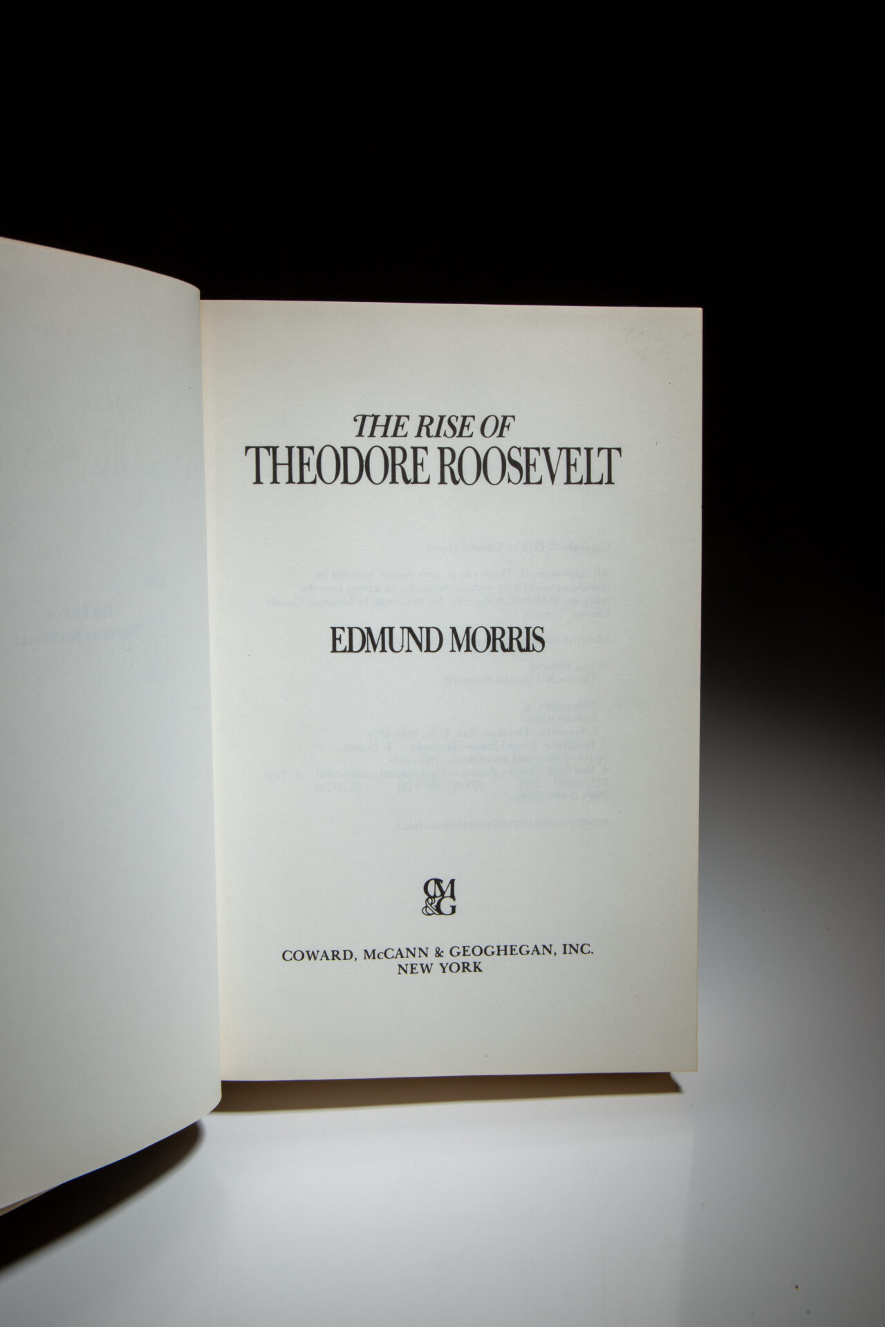 The Rise Of Theodore Roosevelt - Image 4