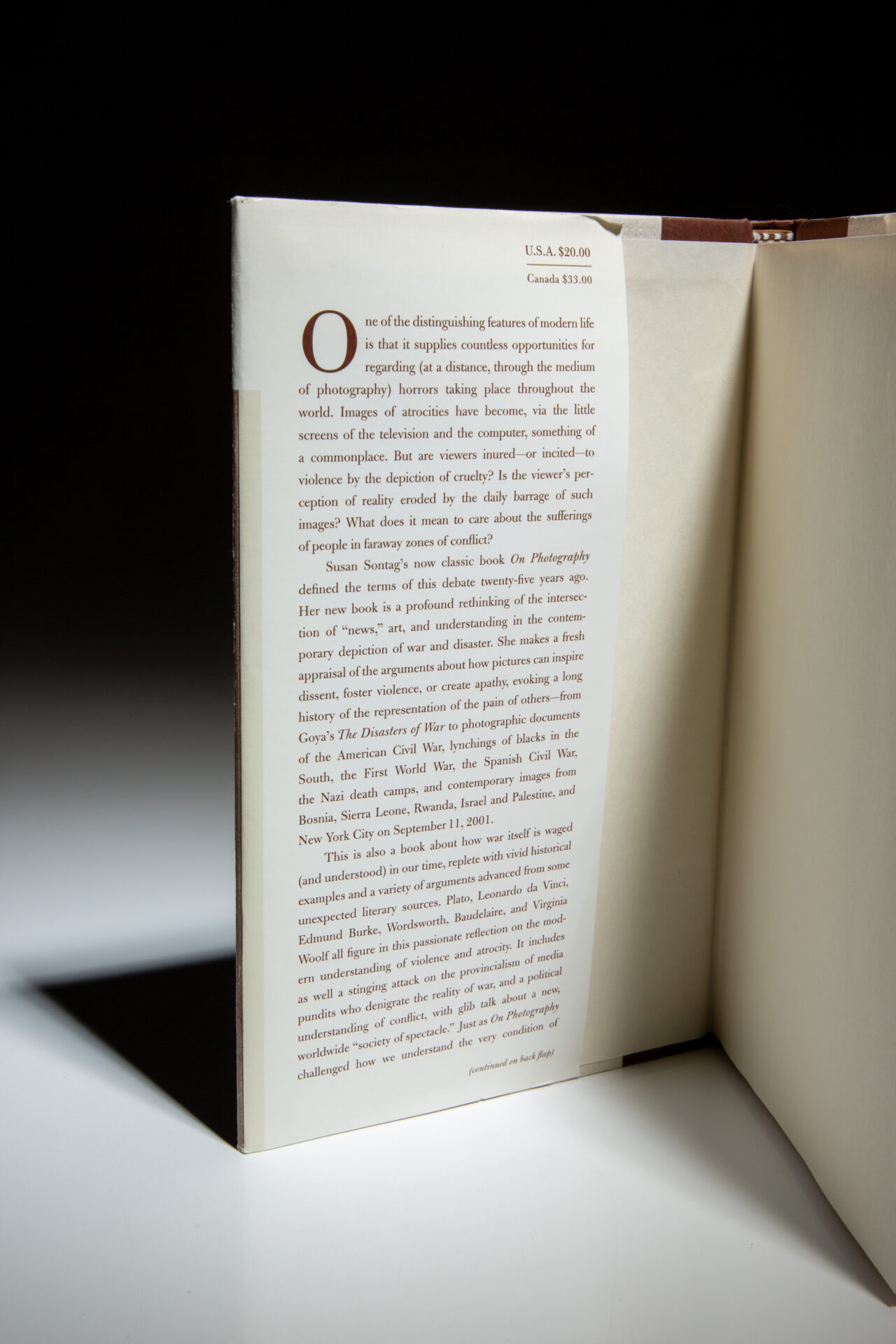 Regarding the Pain of Others - Image 2