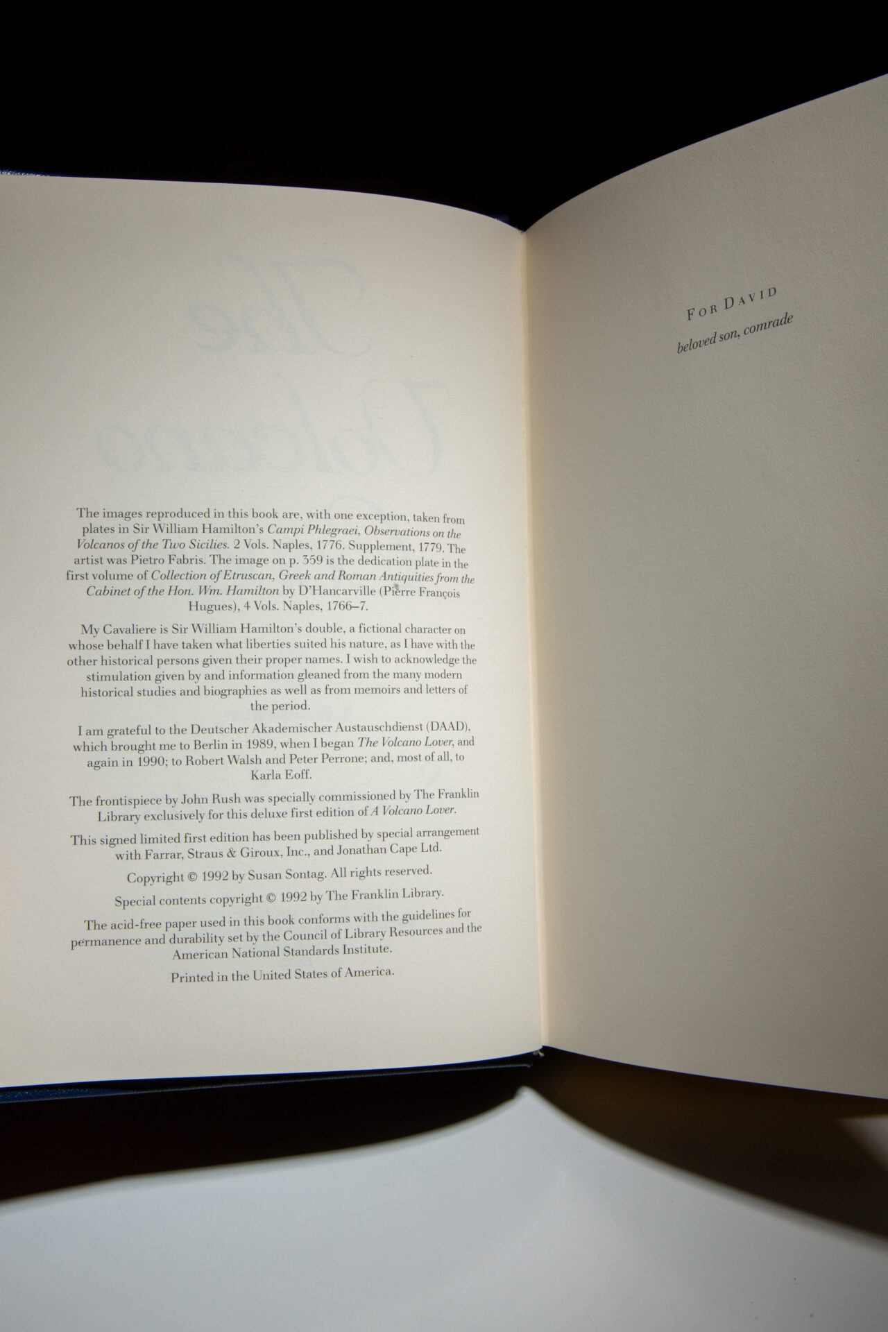 The Volcano Lover - Image 4