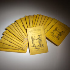The first edition, first issue of The Virginians by William Makepeace Thackeray, complete in a 24 volume serial.