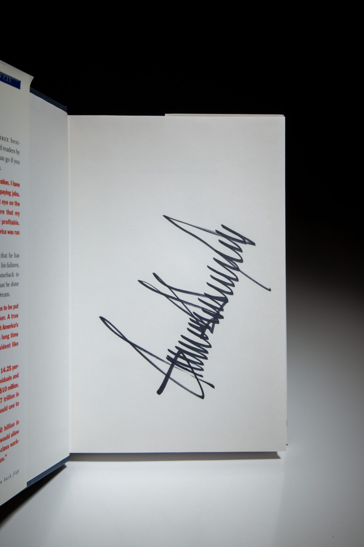 Trump: The America We Deserve - Image 3