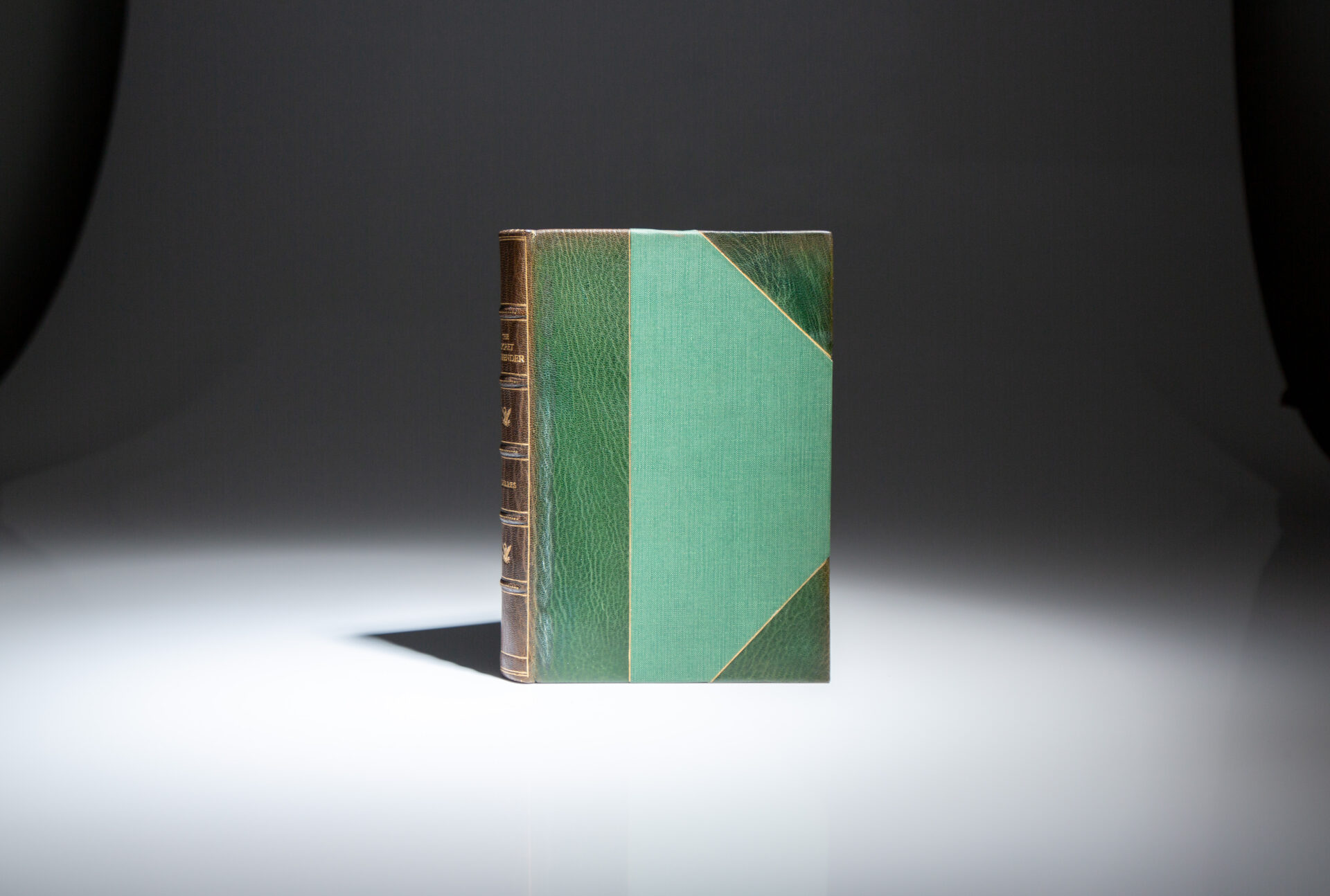 The Secret Surrender - Image 5