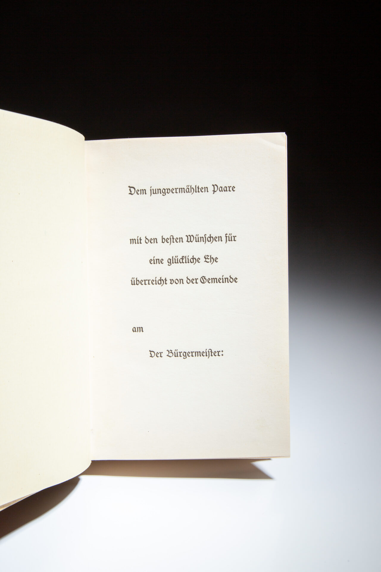 Mein Kampf - Image 2