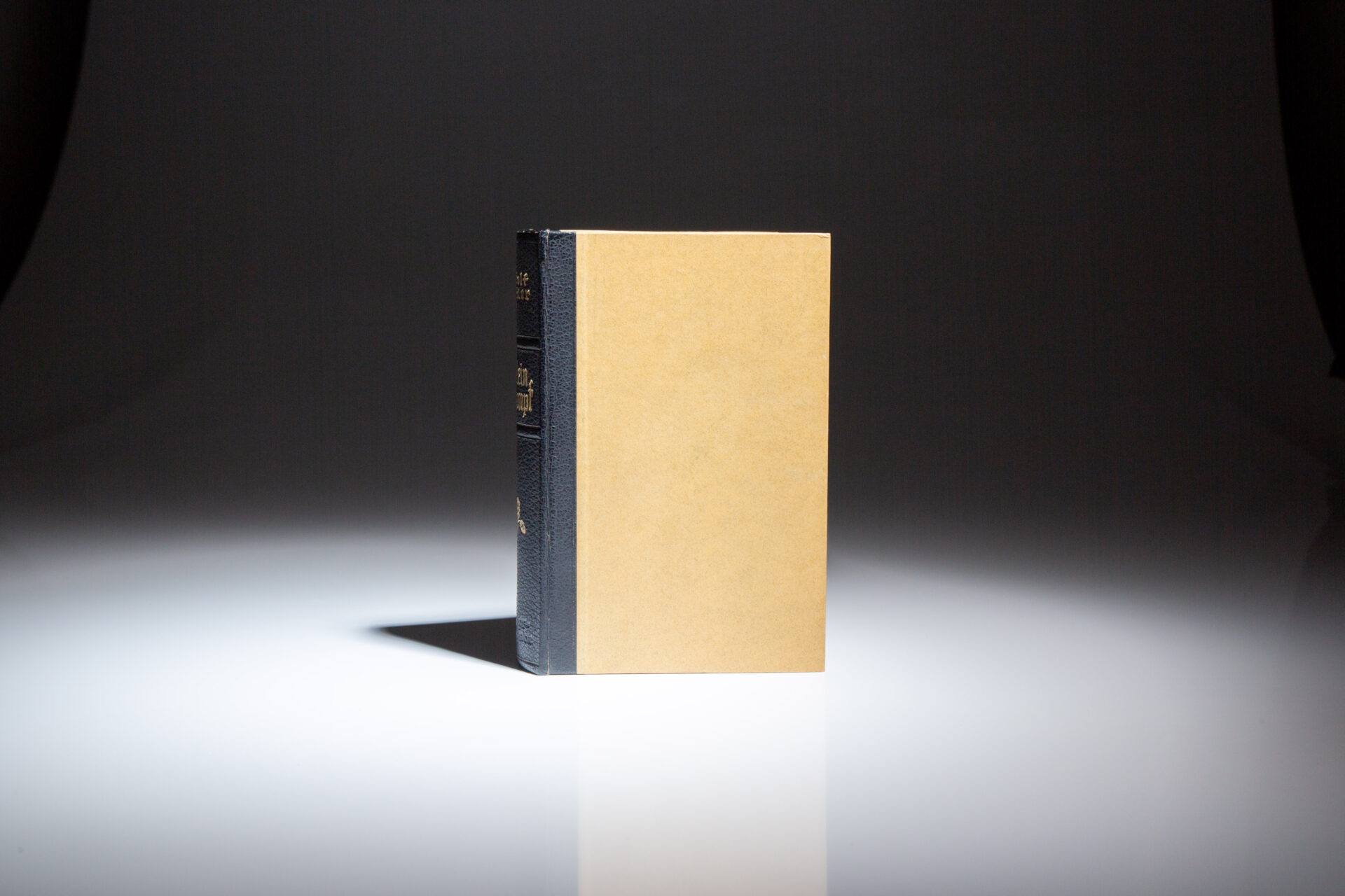 Mein Kampf - Image 5