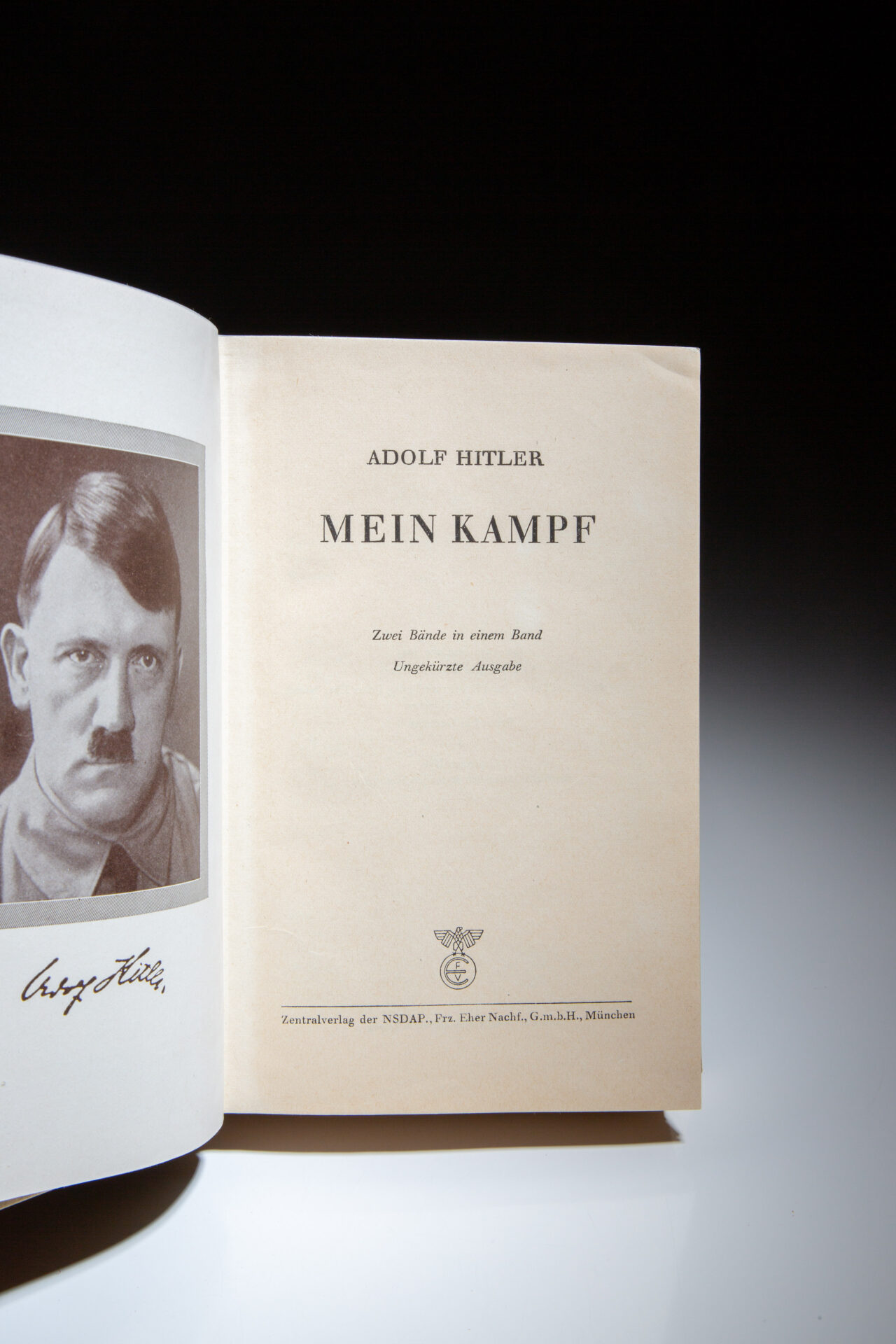 Mein Kampf - Image 3