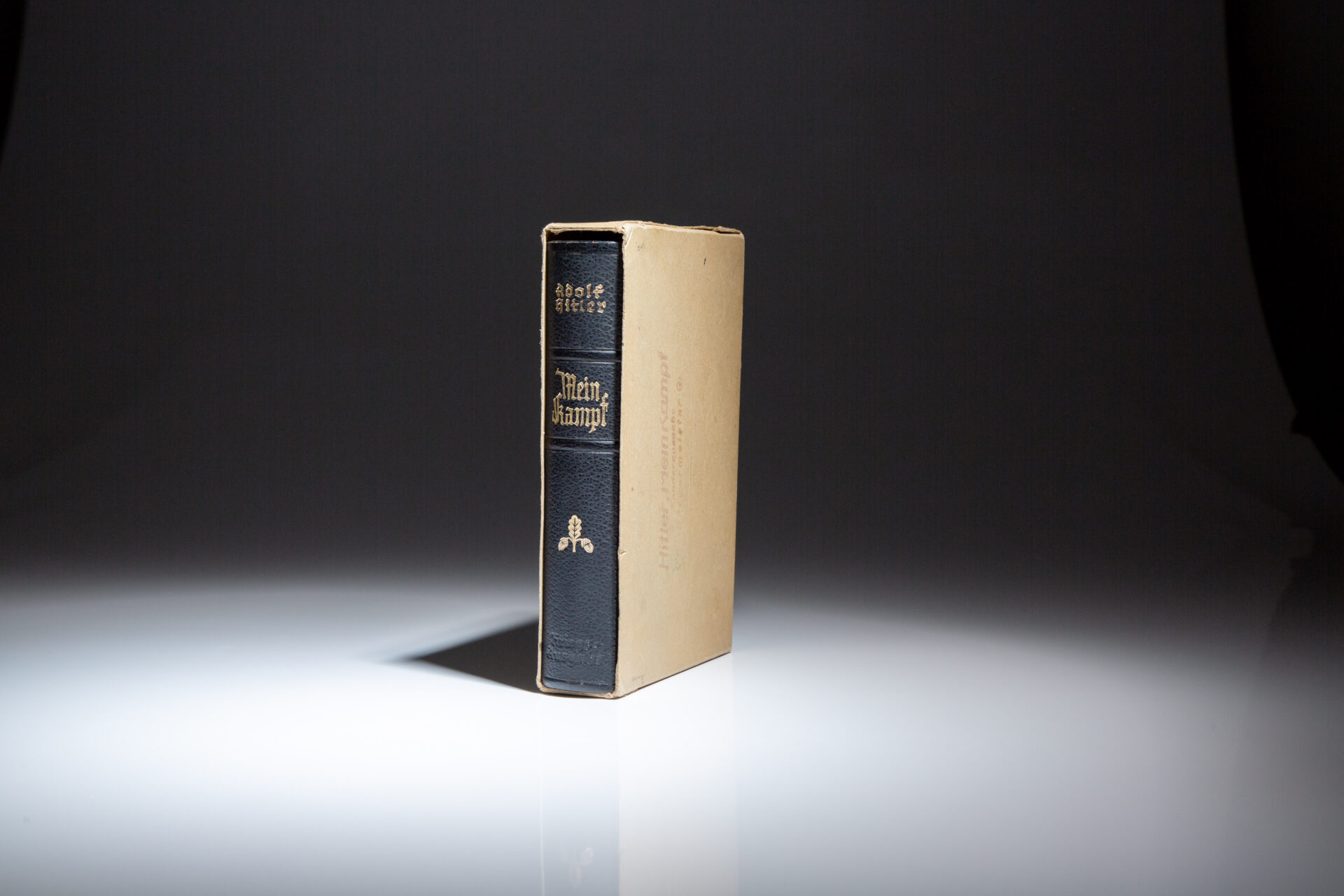 Mein Kampf - Image 6