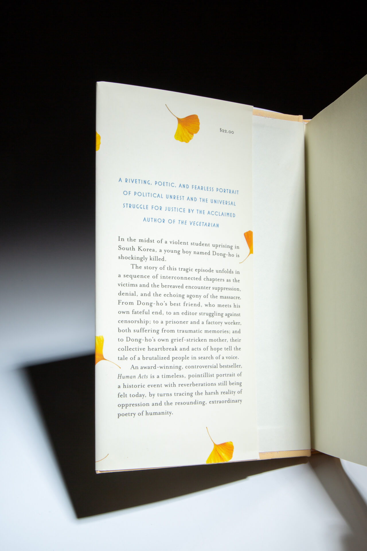 Human Acts - Image 4