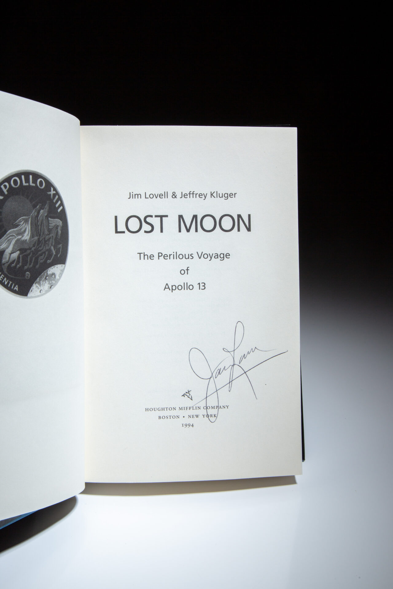 Lost Moon - Image 4
