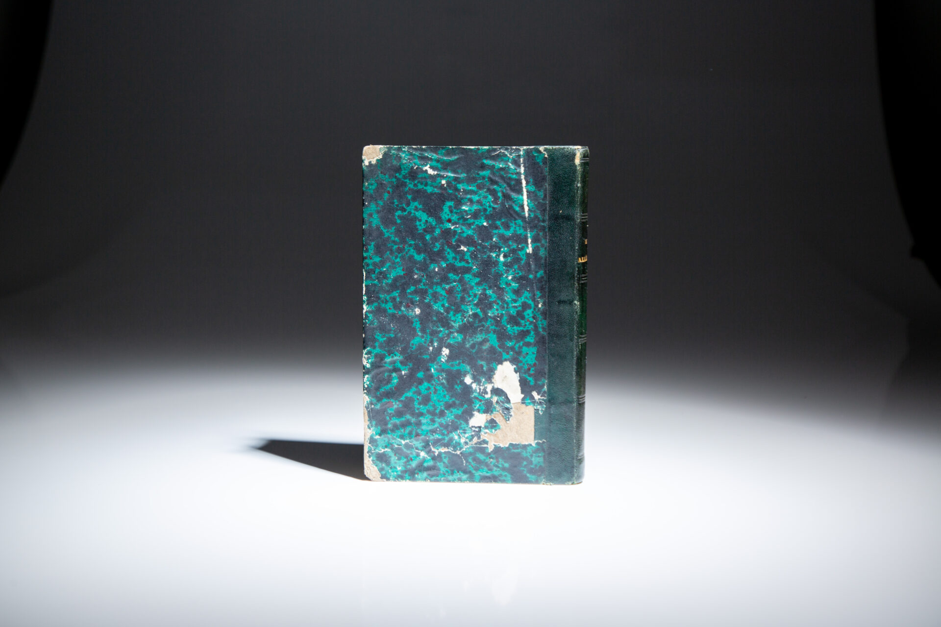 Voyage à l'ouest des monts Alléghanys - Image 7