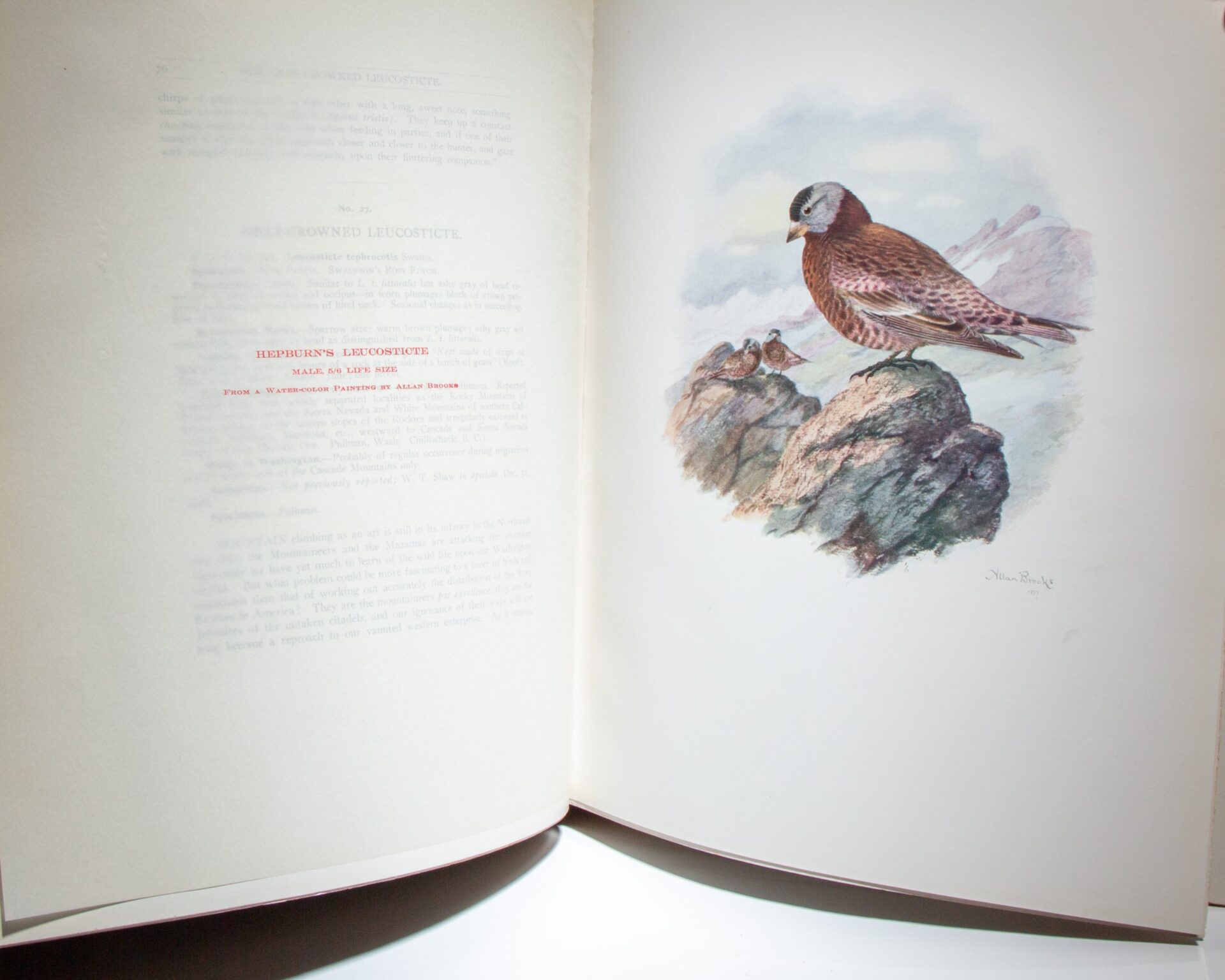 The Birds of Washington - Image 7