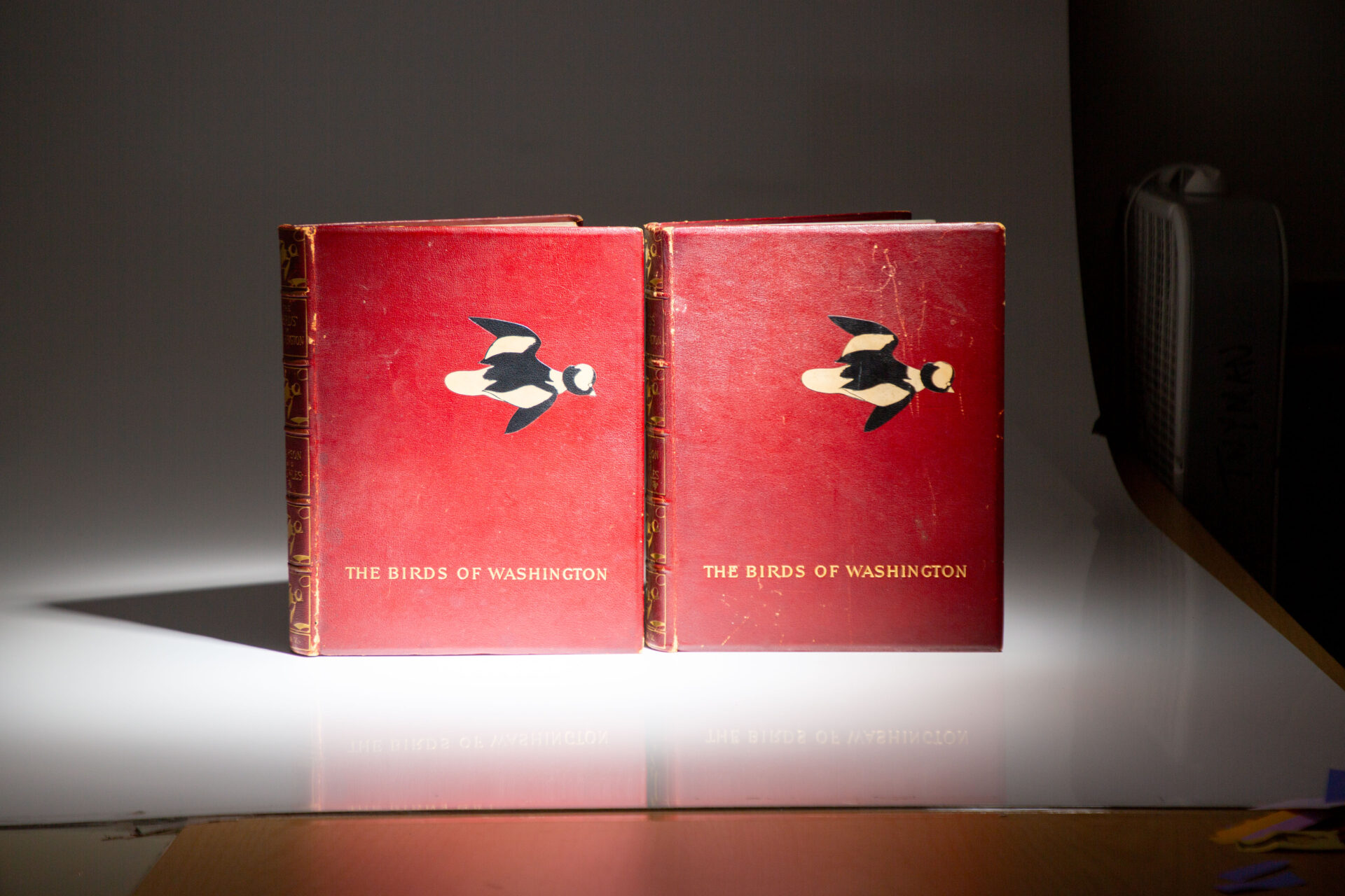 The Birds of Washington - Image 10