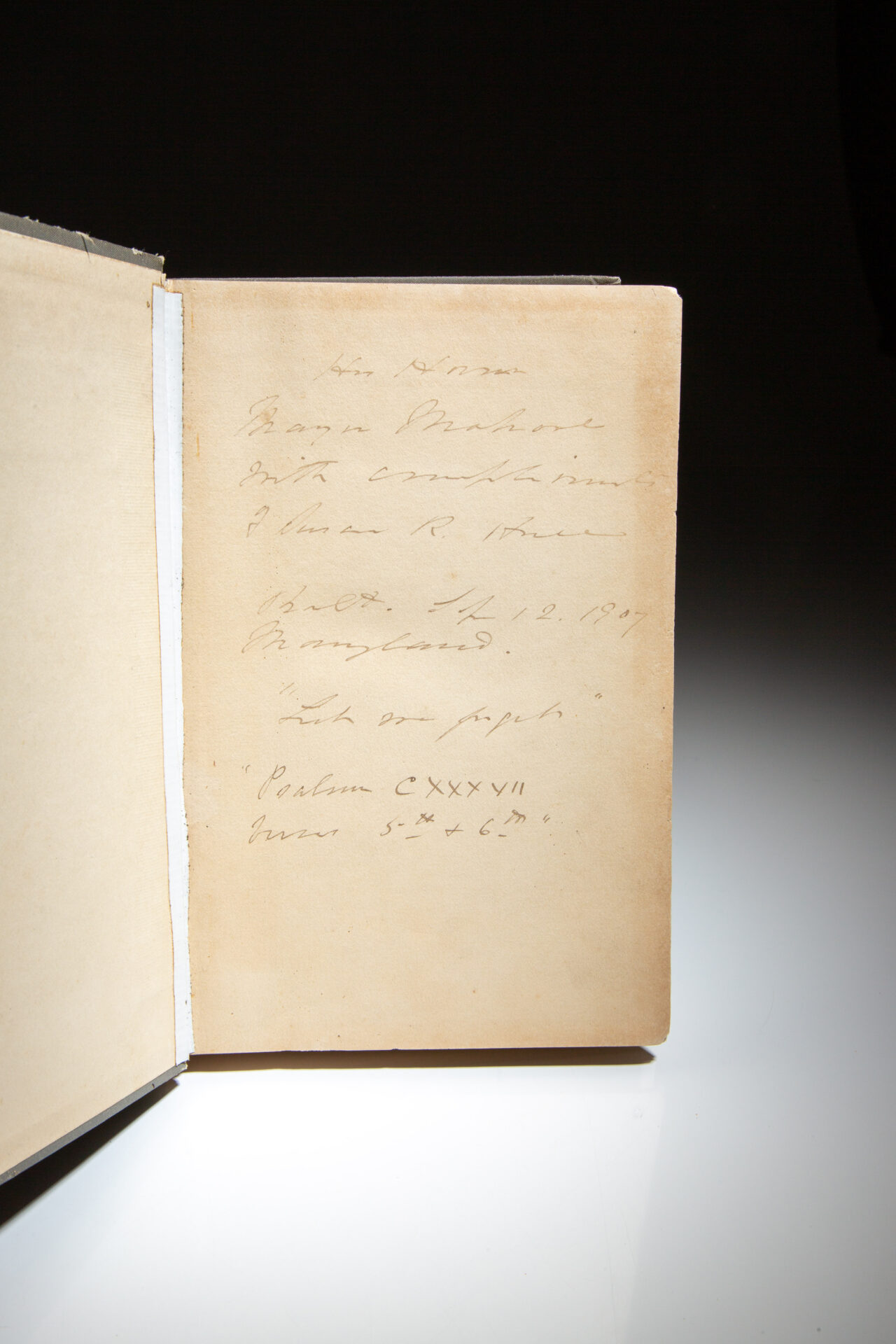 Boy Soldiers Of The Confederacy - Image 2