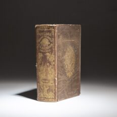 Ninth edition of A Voyage Round the World by Fitch W. Taylor.