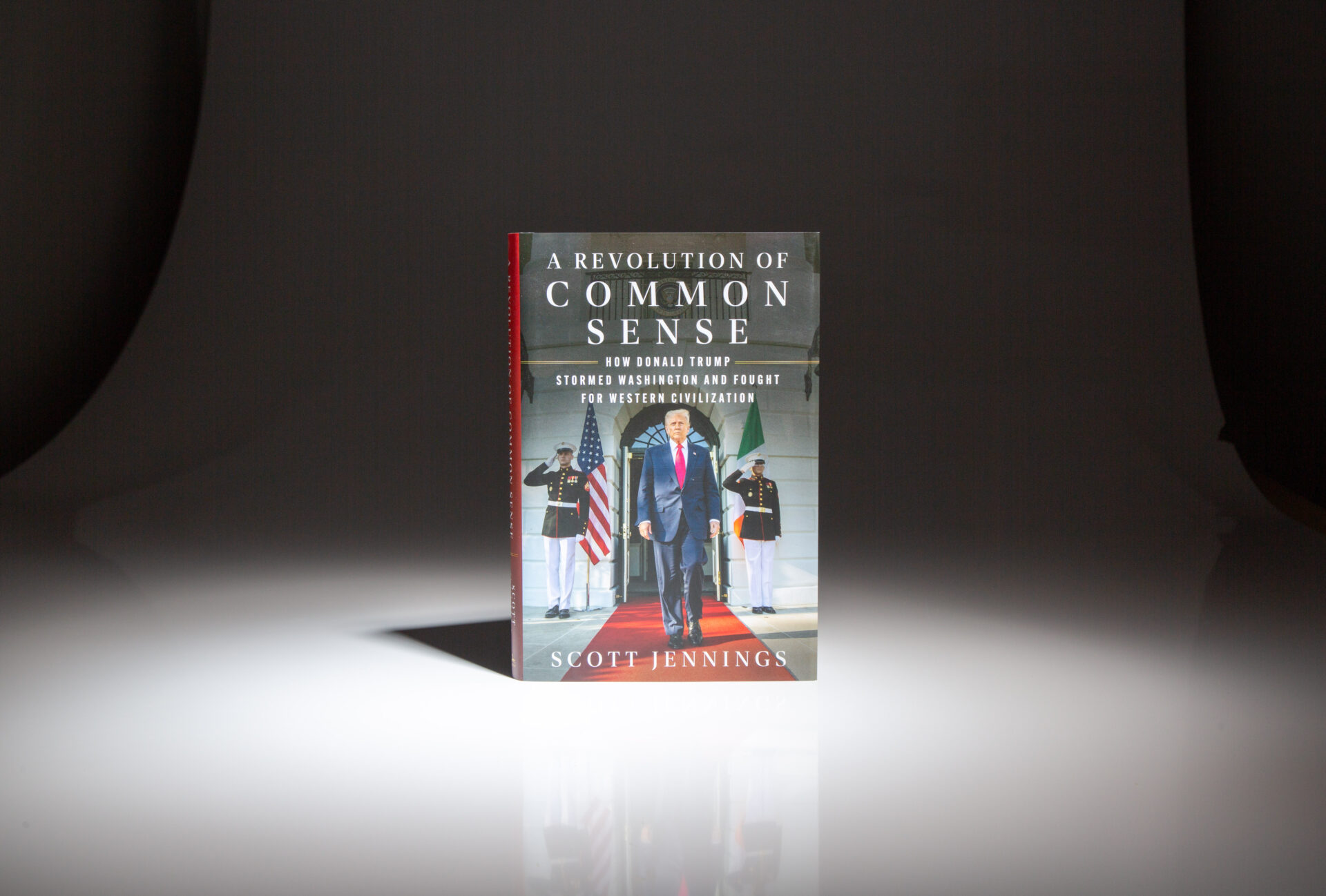 A Revolution Of Common Sense - Image 6