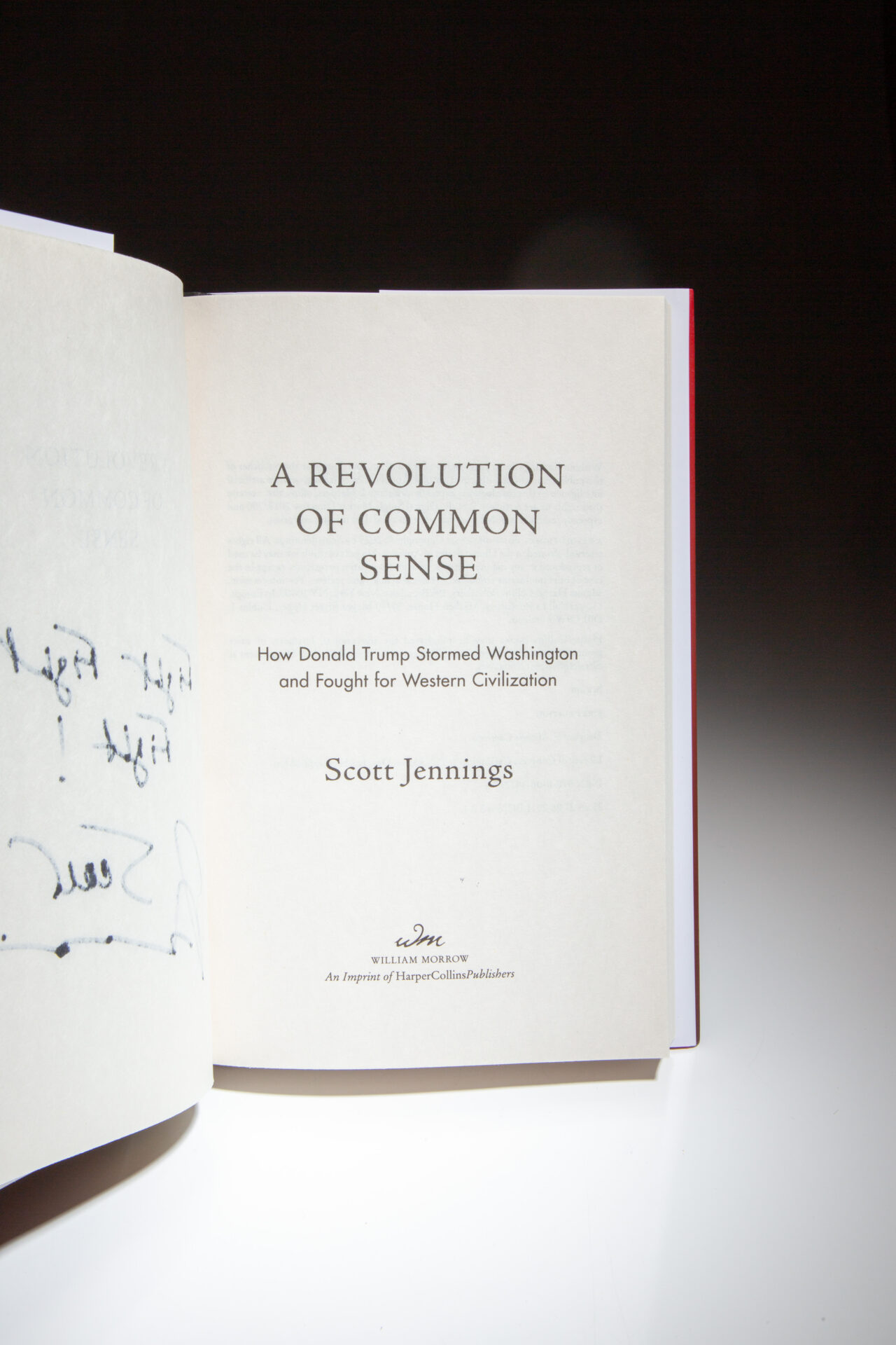 A Revolution Of Common Sense - Image 4
