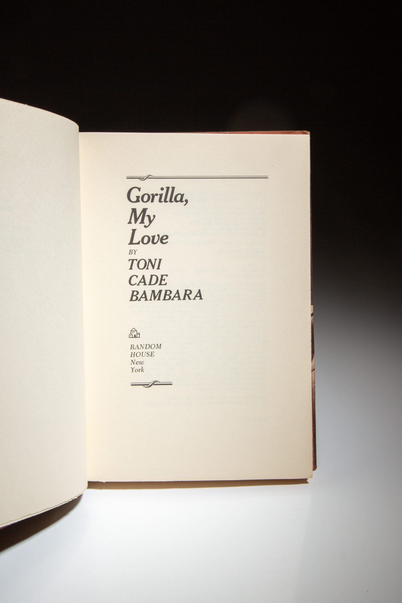 Gorilla, My Love - Image 4