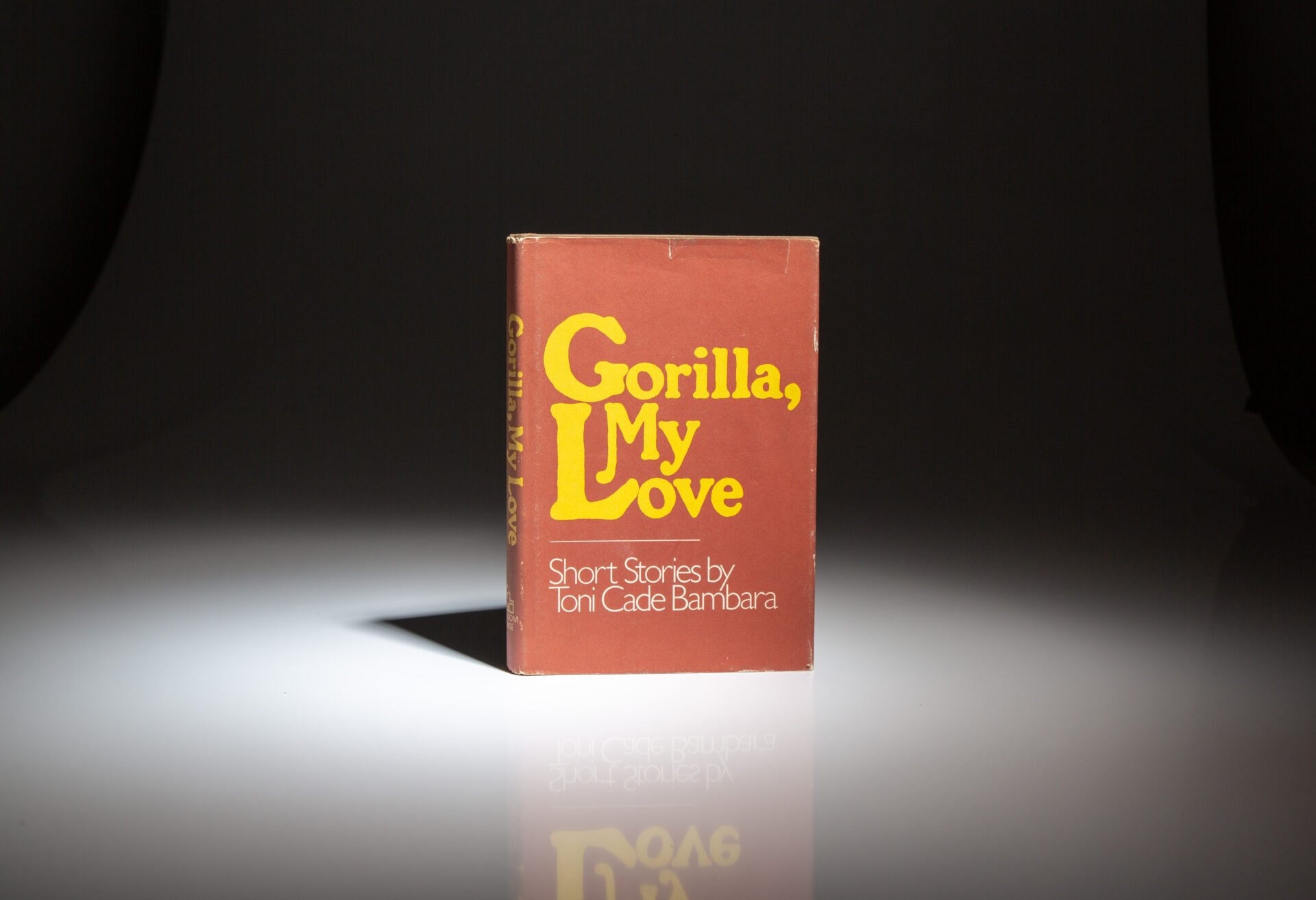 Gorilla, My Love - Image 6