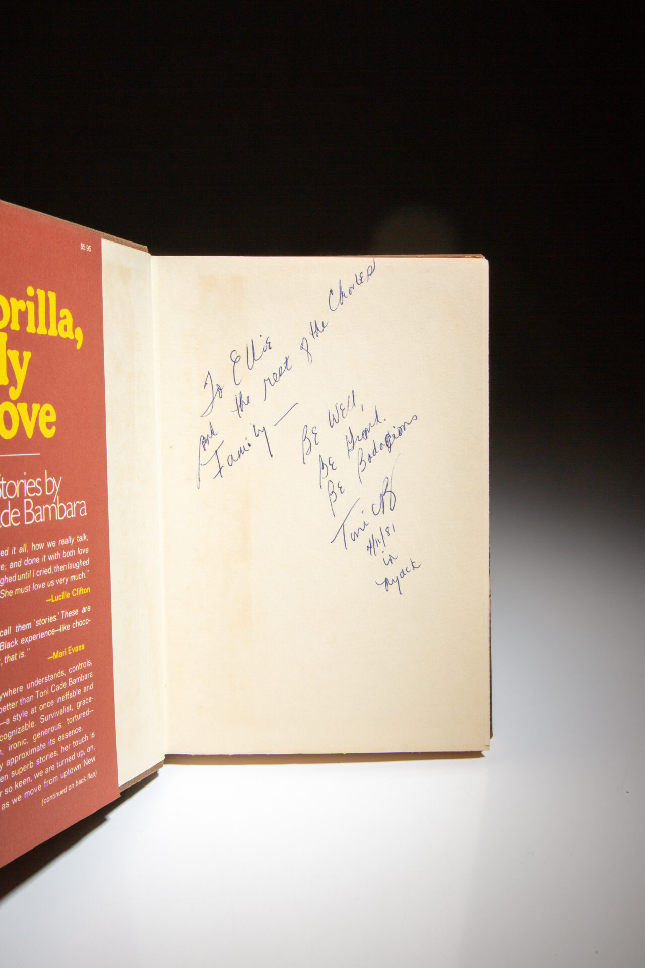 Gorilla, My Love - Image 3