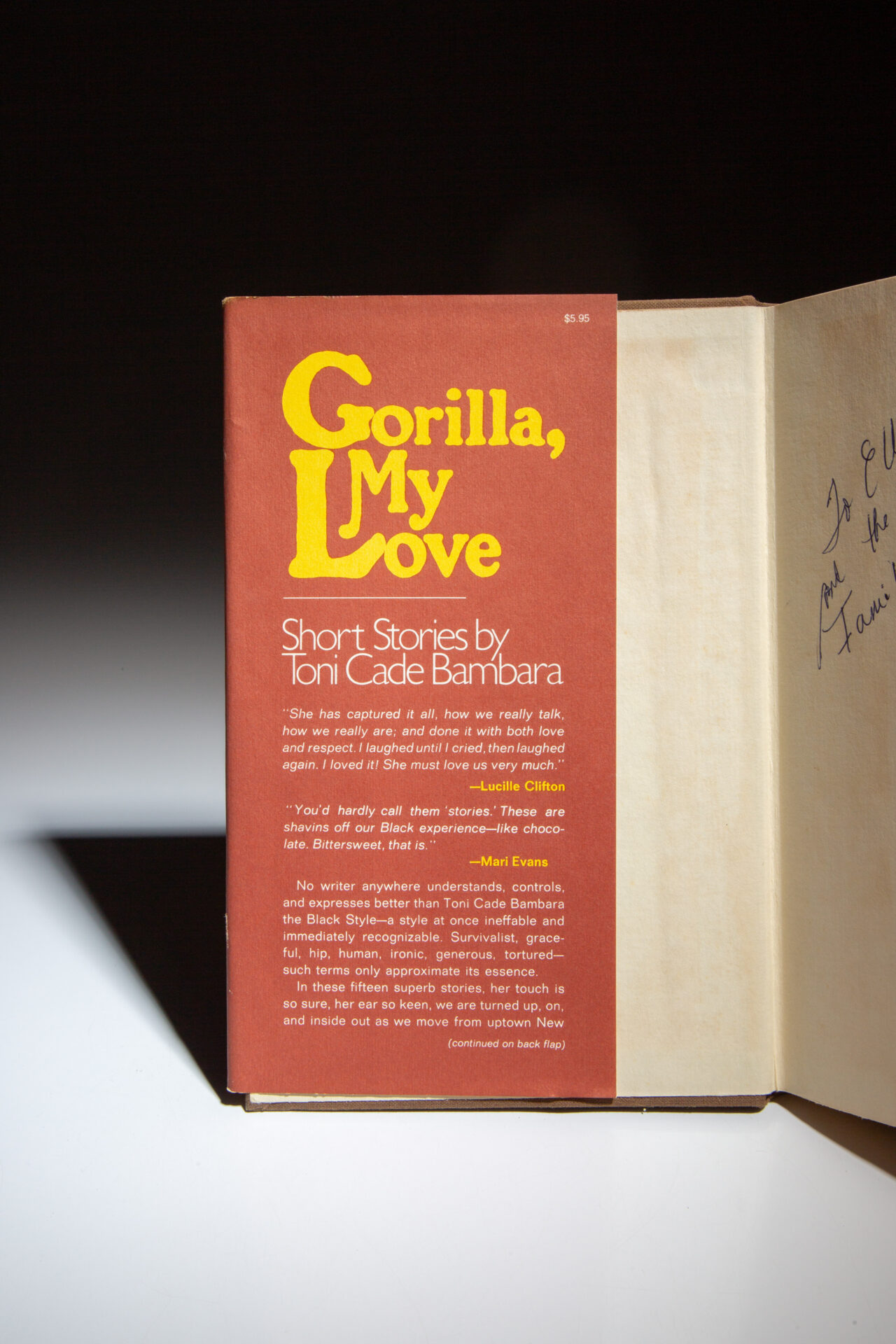Gorilla, My Love - Image 2