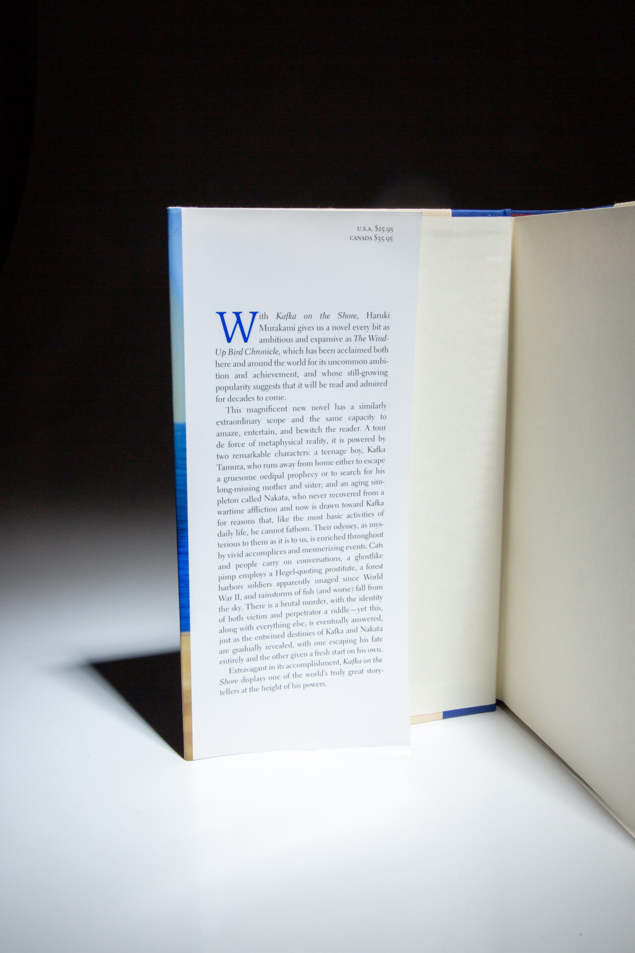 Kafka on the Shore - Image 4