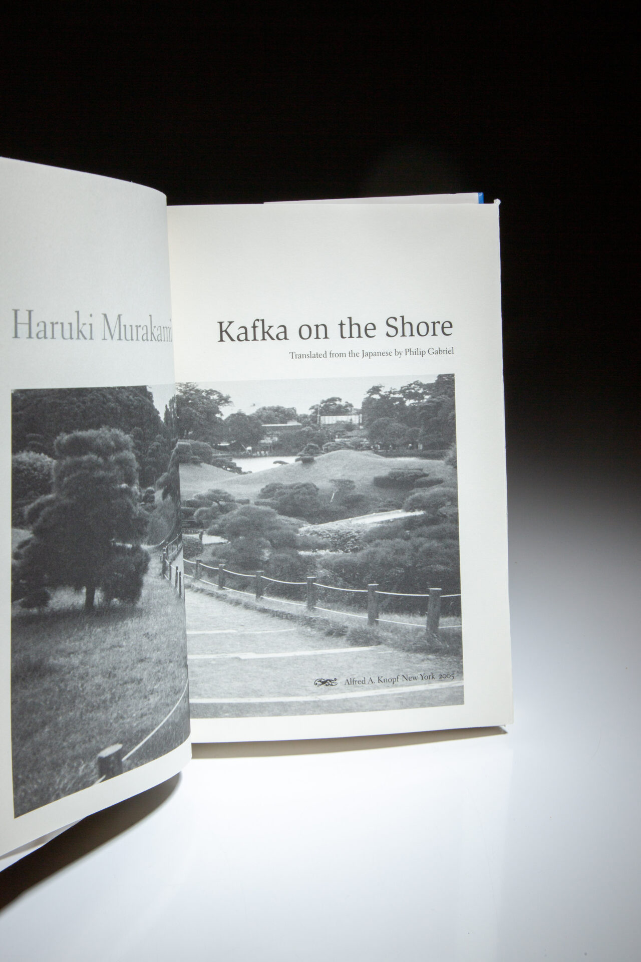 Kafka on the Shore - Image 2