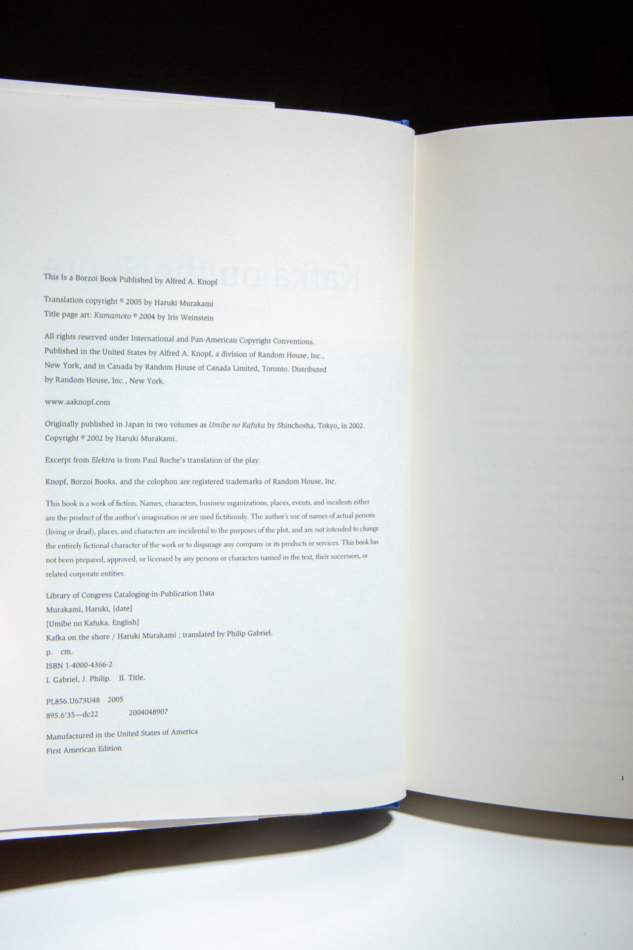 Kafka on the Shore - Image 3