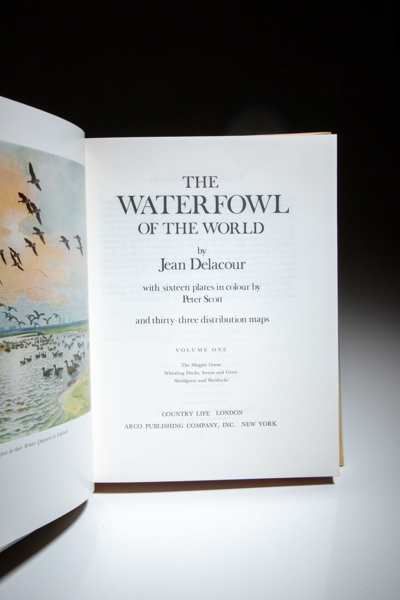 The Waterfowl of the World - Image 3