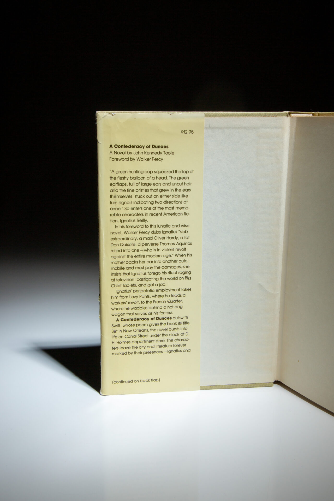 A Confederacy of Dunces - Image 4