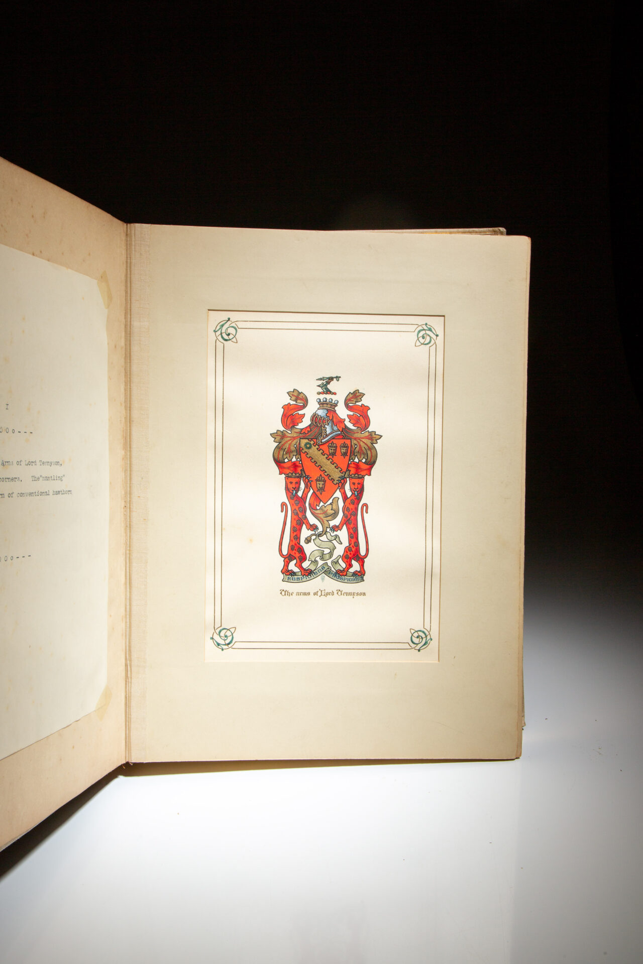 The May Queen - Image 3