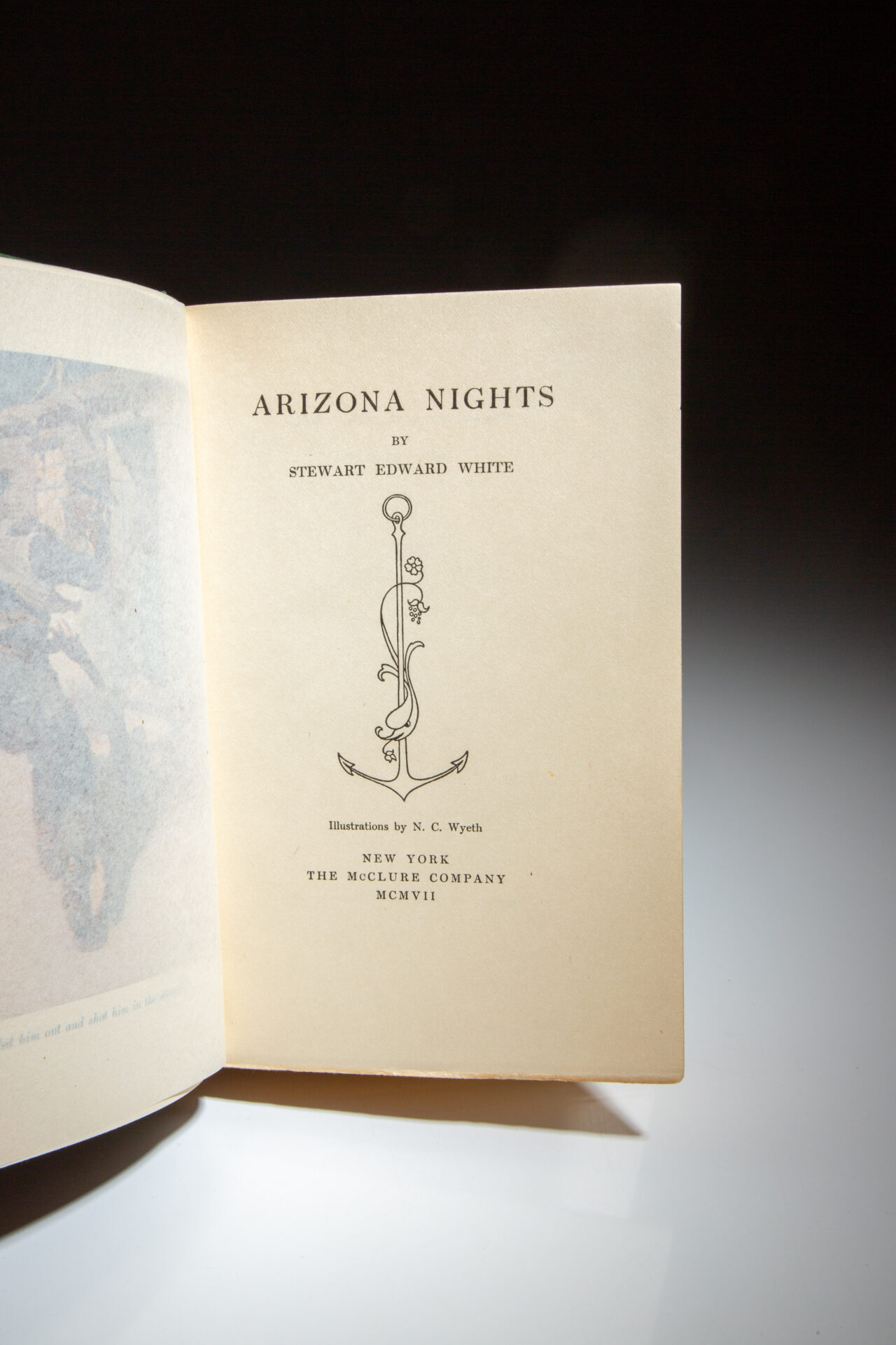 Arizona Nights - Image 3