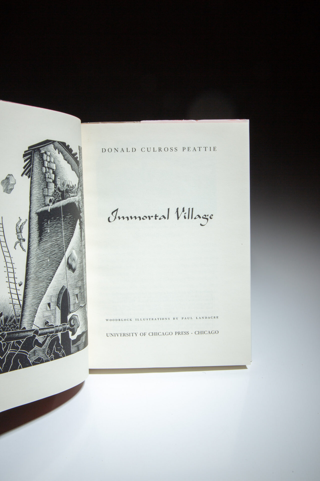 Immortal Village - Image 4