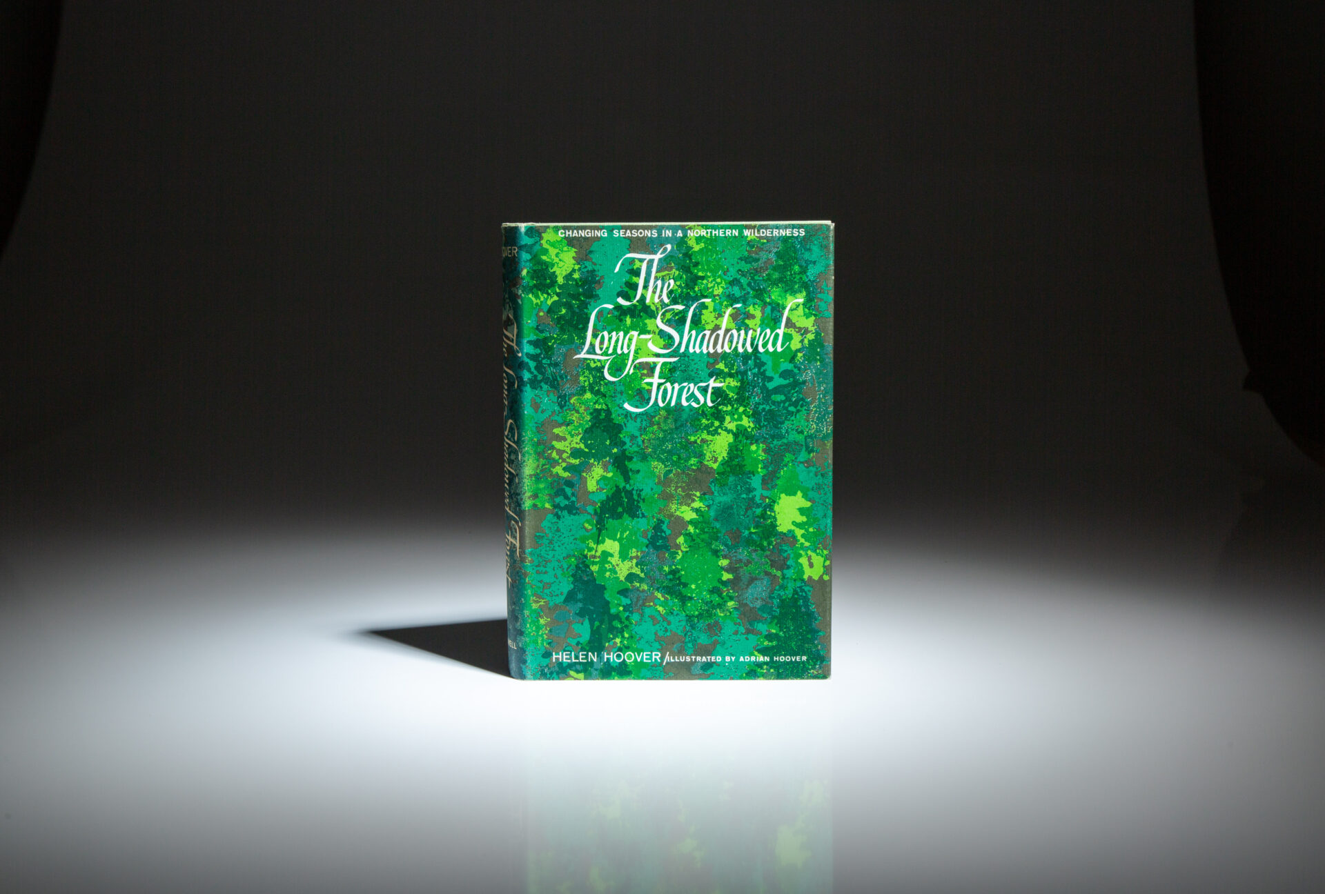 The Long-Shadowed Forest - Image 6